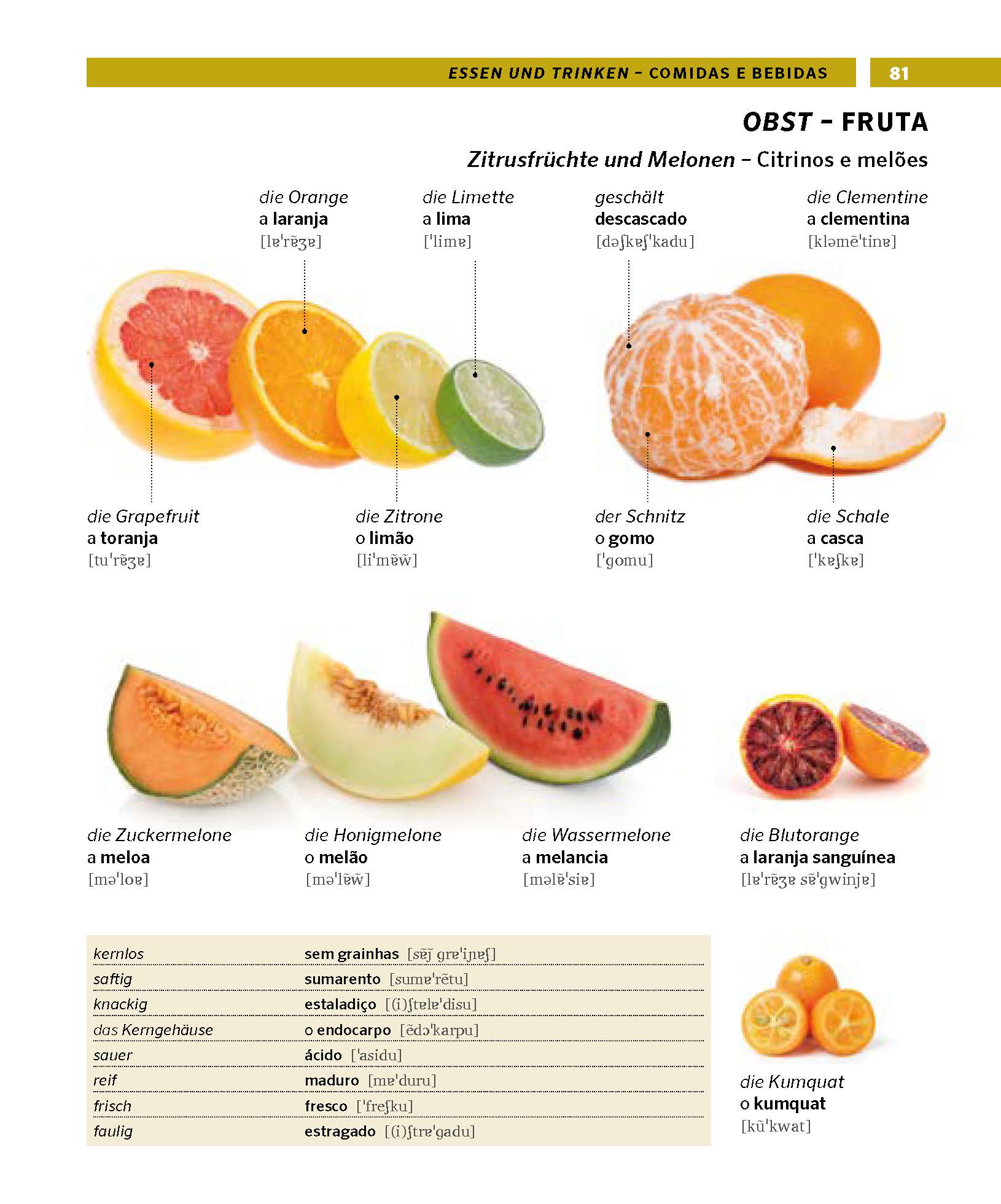 PONS Bildwörterbuch Portugiesisch