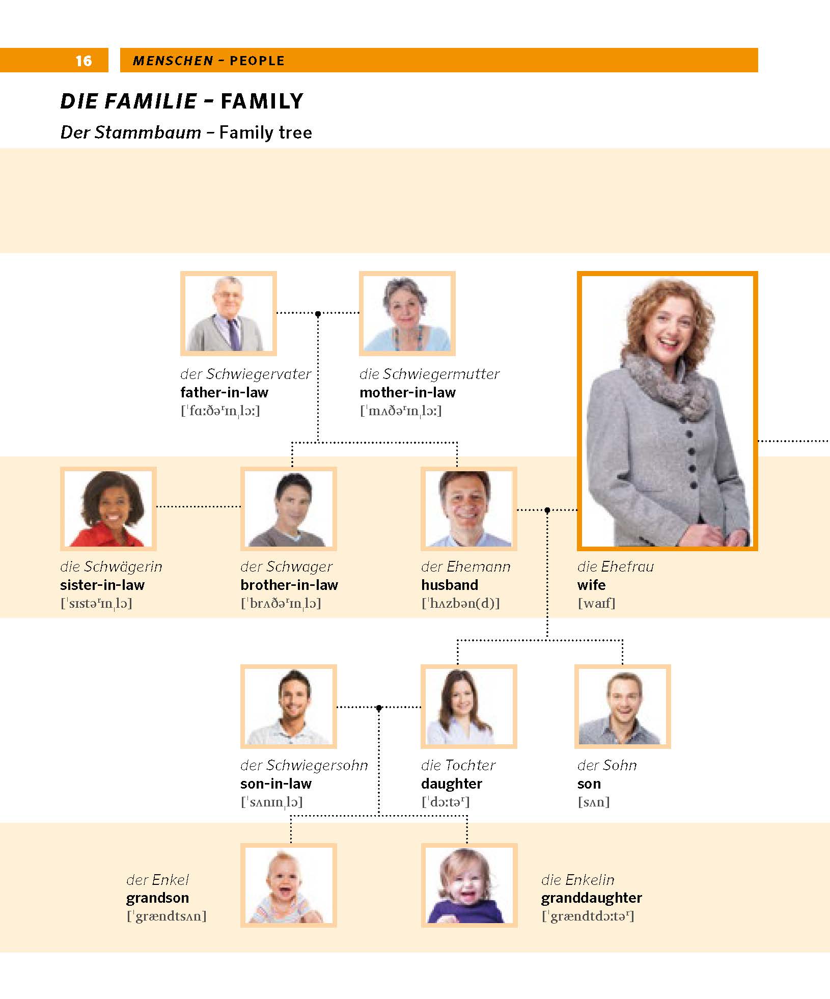 PONS Bildwörterbuch Englisch