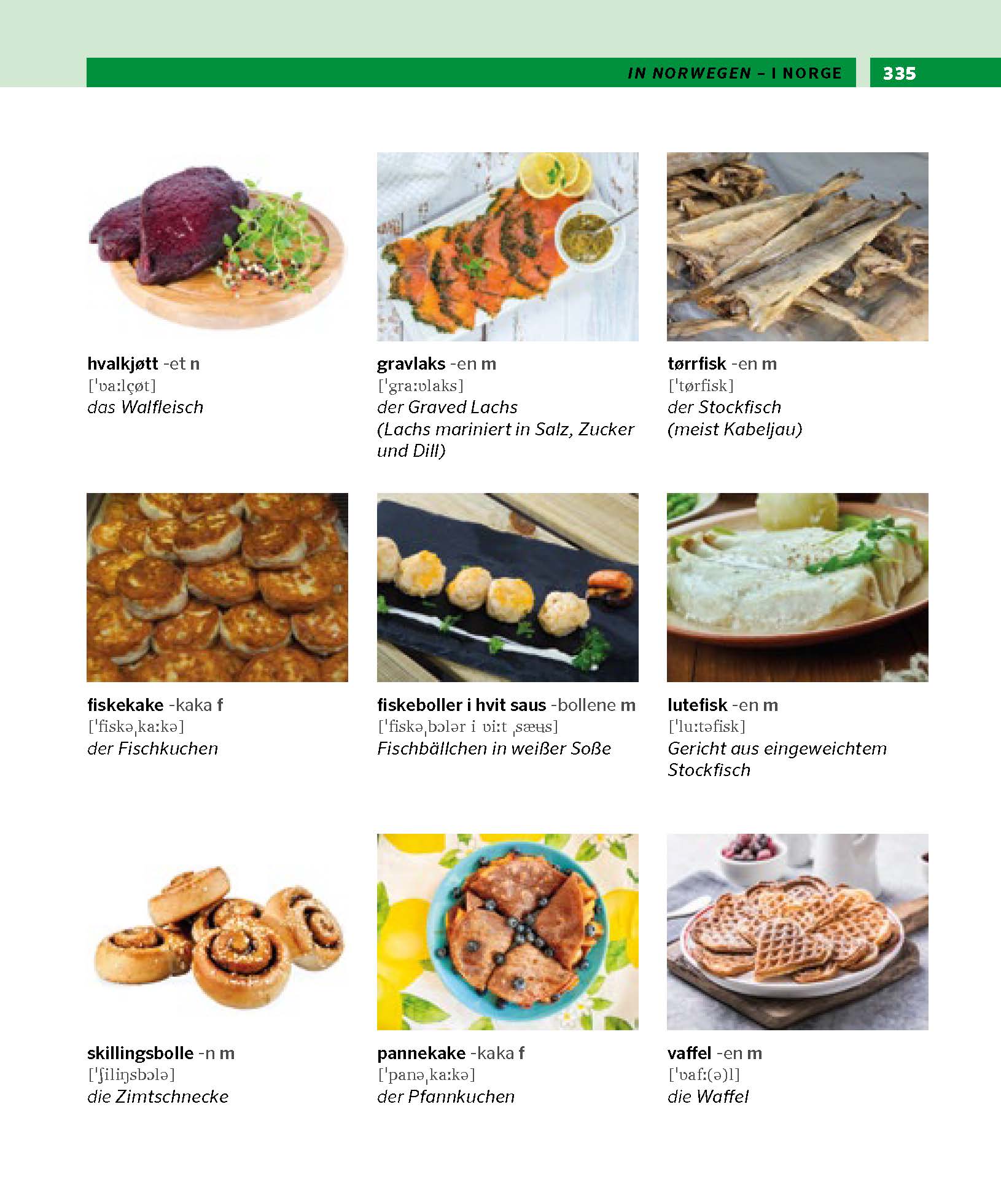 PONS Bildwörterbuch Norwegisch