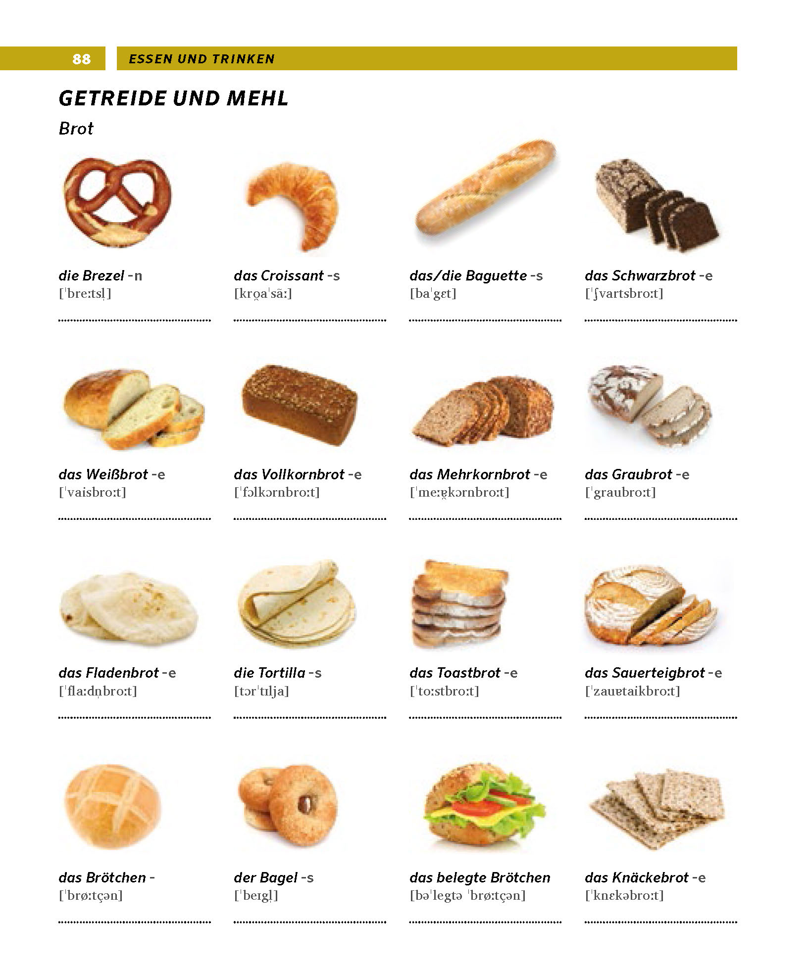 PONS Bildwörterbuch Deutsch als Fremdsprache