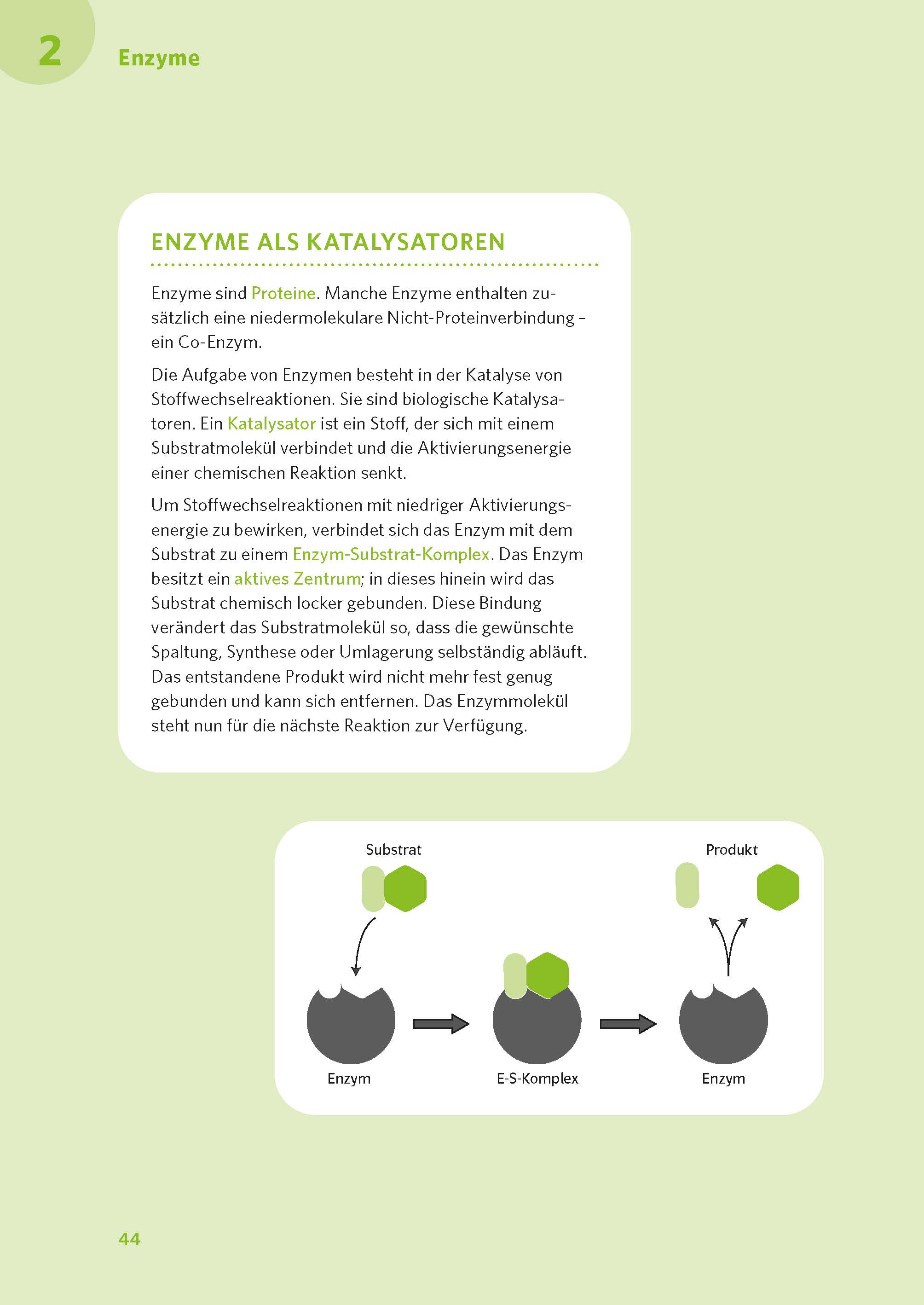 PONS Abi-Check XXL Biologie