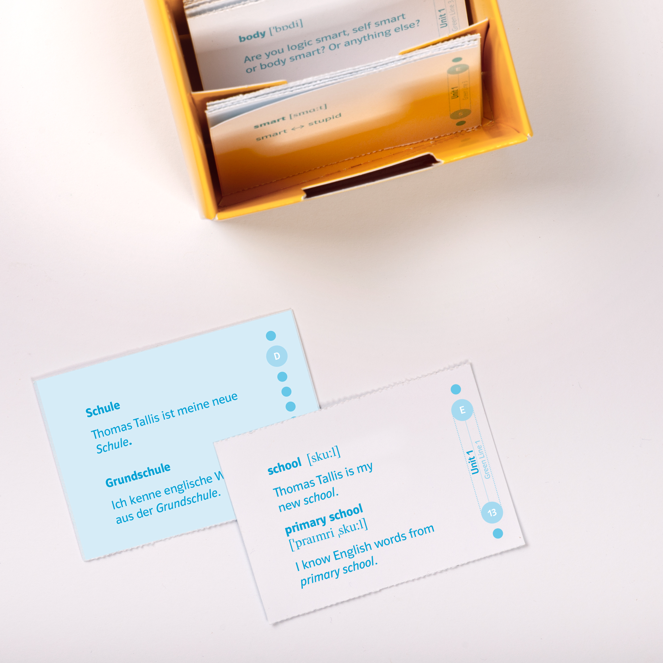Ein gelber Kasten mit Vokabelkarten in Englisch und Deutsch, zwei Karten auf einer weißen Fläche zeigen Wörter zum Thema Schule und ihre Übersetzungen.