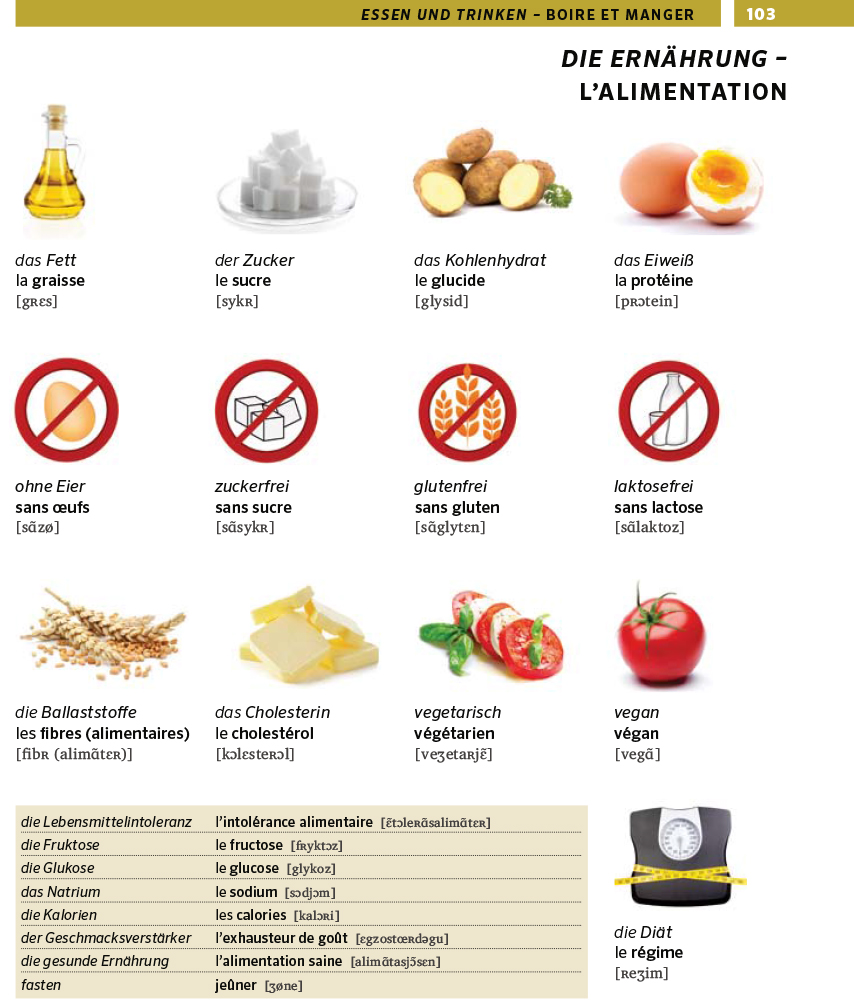 PONS Bildwörterbuch Französisch