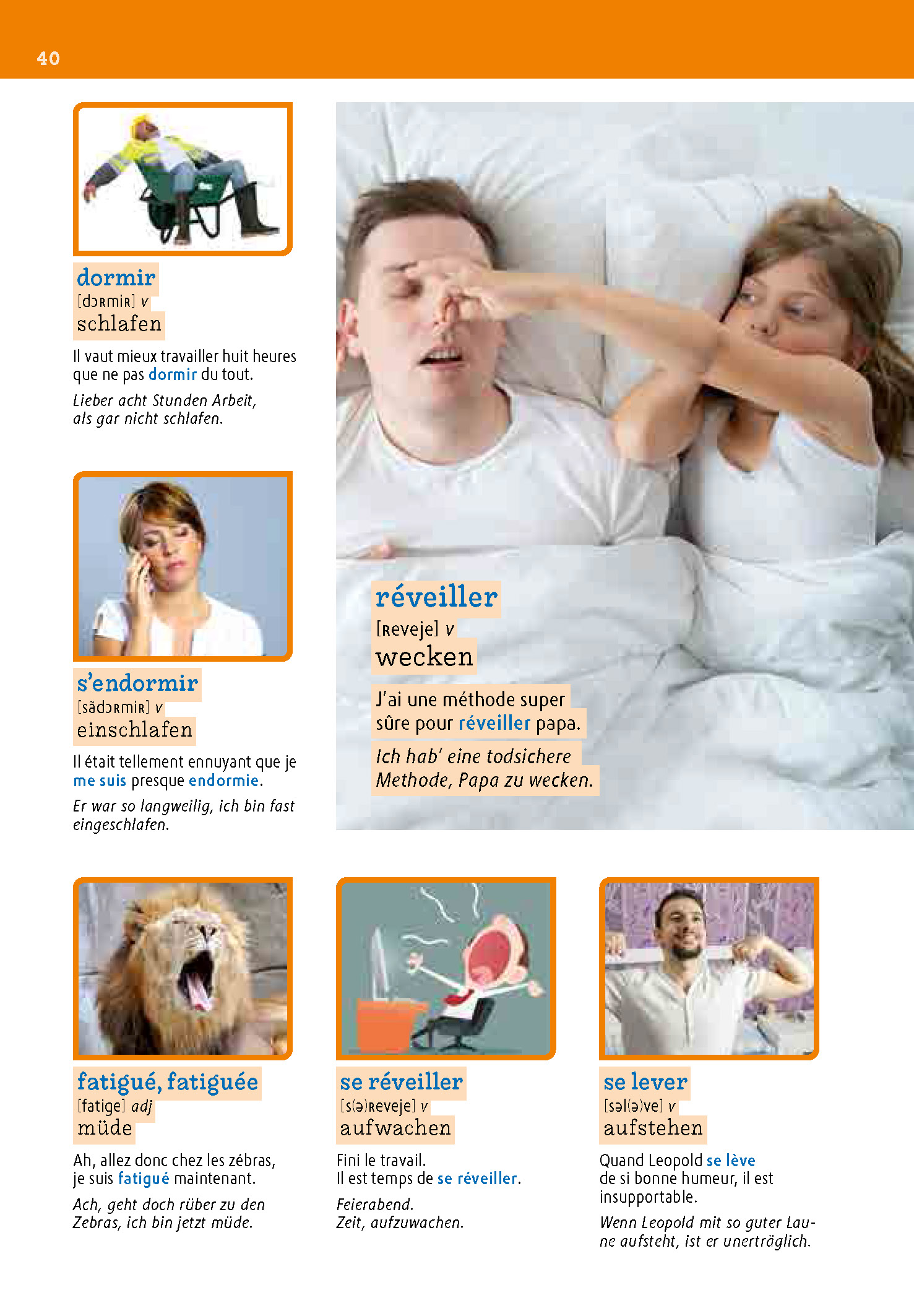 PONS Wortschatz in Bildern Französisch