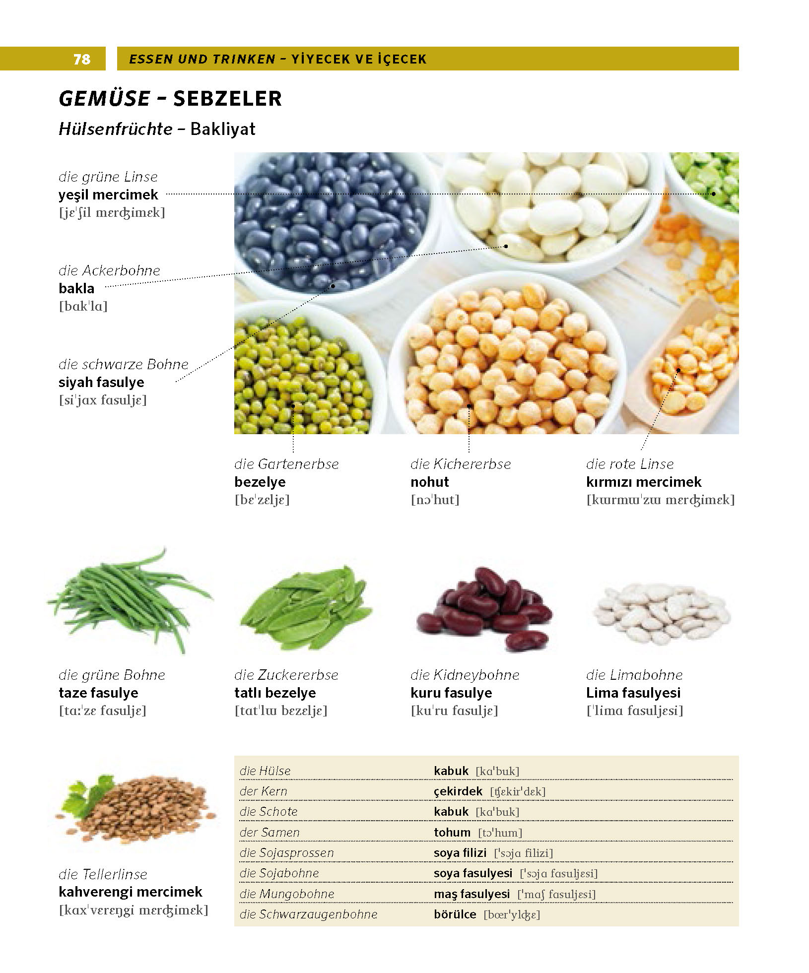 PONS Bildwörterbuch Türkisch