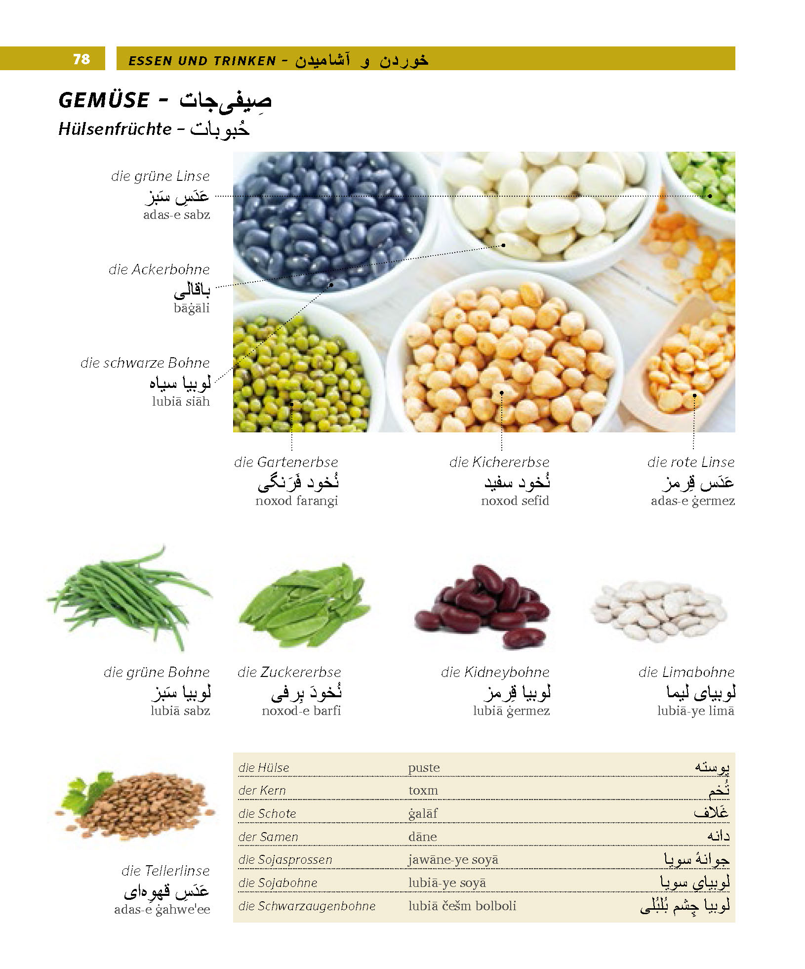 PONS Bildwörterbuch Persisch
