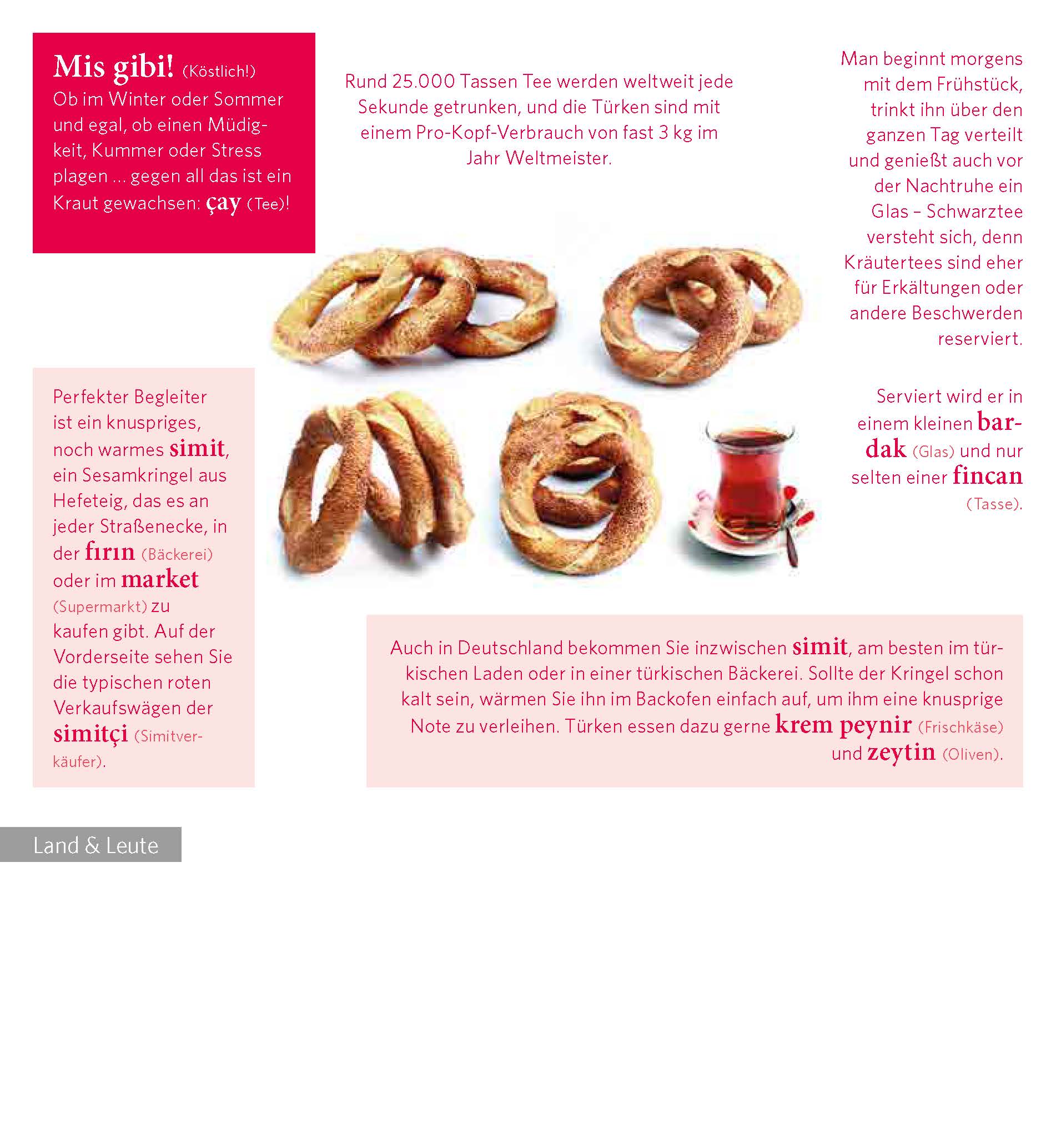 PONS Sprachkalender Türkisch 2023