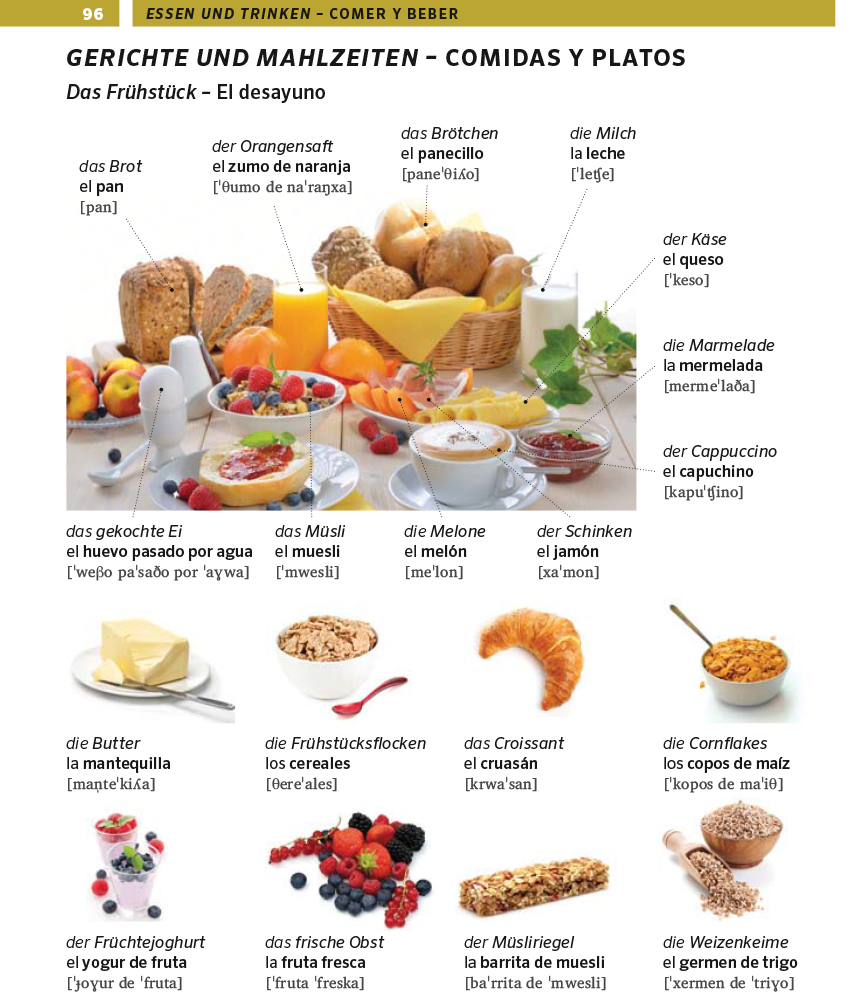 PONS Bildwörterbuch Spanisch