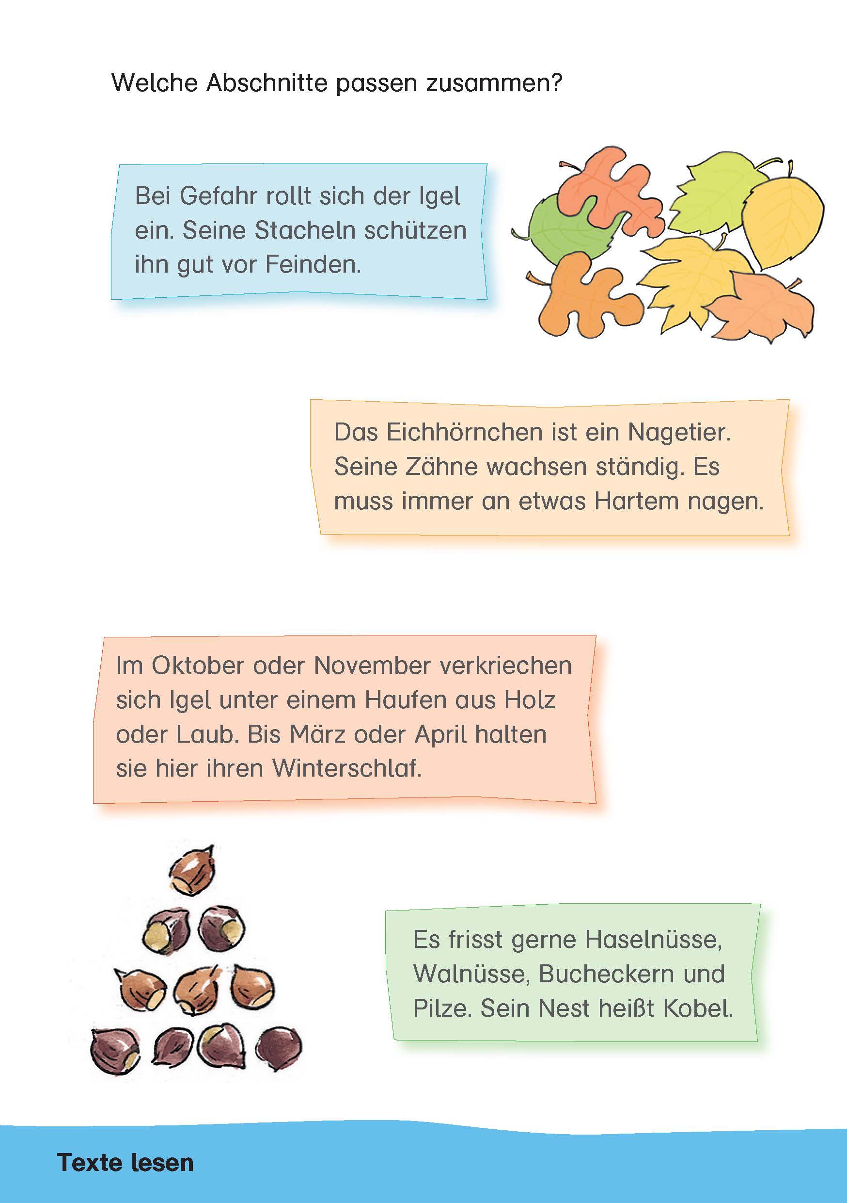 Klett Mein Rätsel-Block Rätsel dich schlau! Lesen 2. Klasse