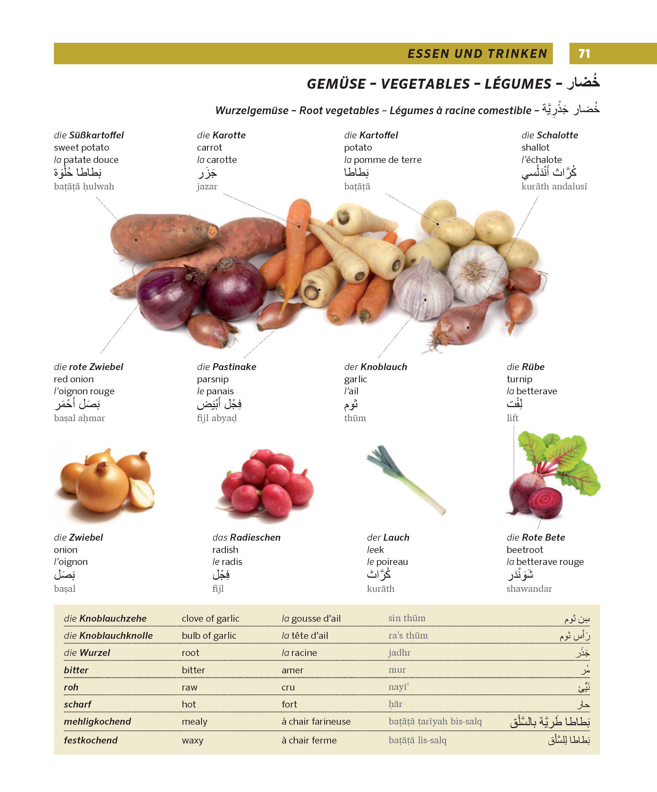 PONS Großes Bildwörterbuch Arabisch - Deutsch + Englisch und Französisch