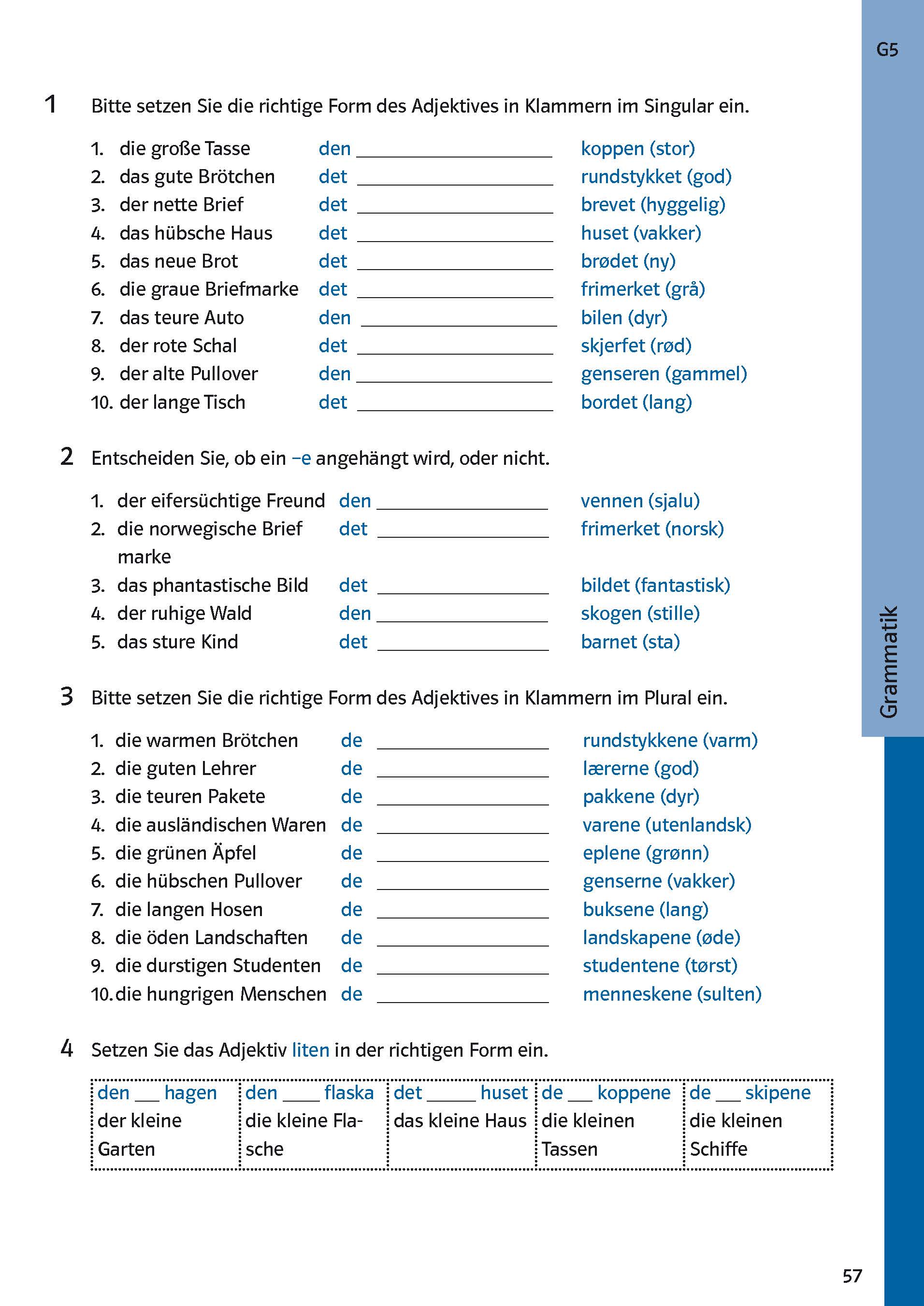 Ein Arbeitsblatt zur Übung der deutschen Sprache mit Aufgaben zu den Endungen von Adjektiven, einschließlich Sätzen zum Ausfüllen und Kästchen zum Ankreuzen für Grammatikübungen.