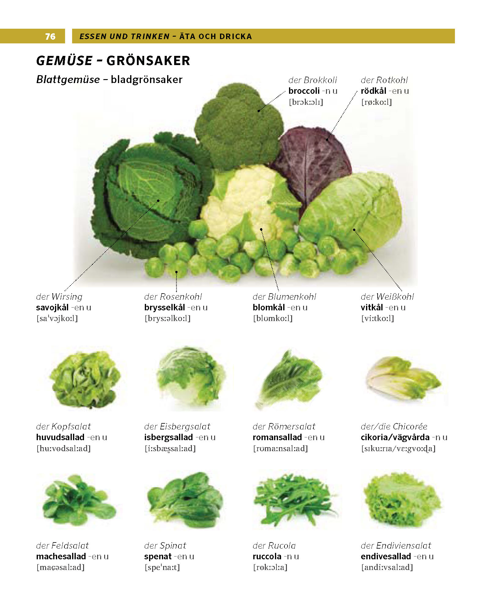 PONS Bildwörterbuch Schwedisch