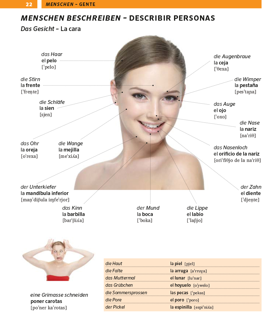 PONS Bildwörterbuch Spanisch