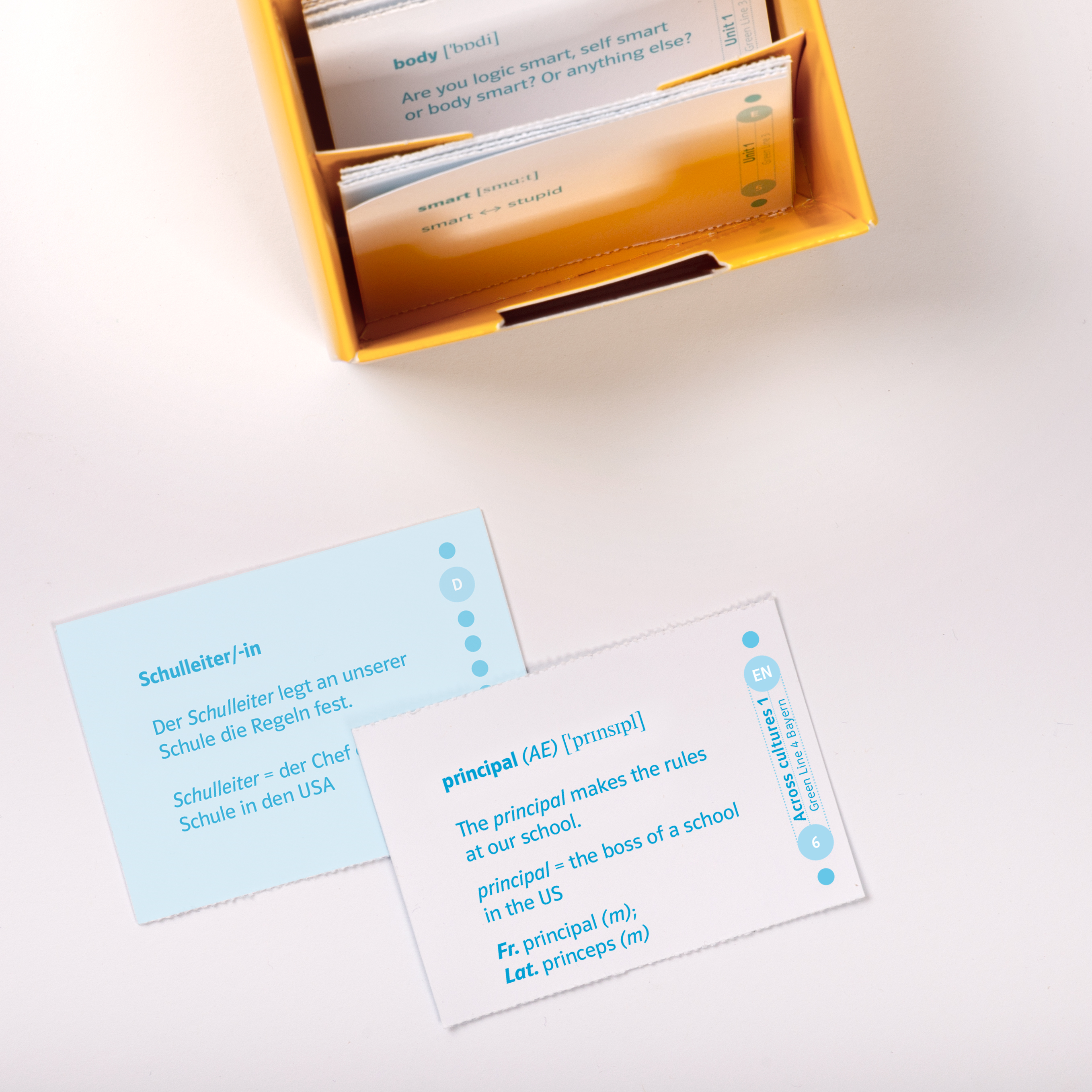 Klett Green Line 4 Bayern Klasse 8 Vokabel-Lernbox zum Schulbuch