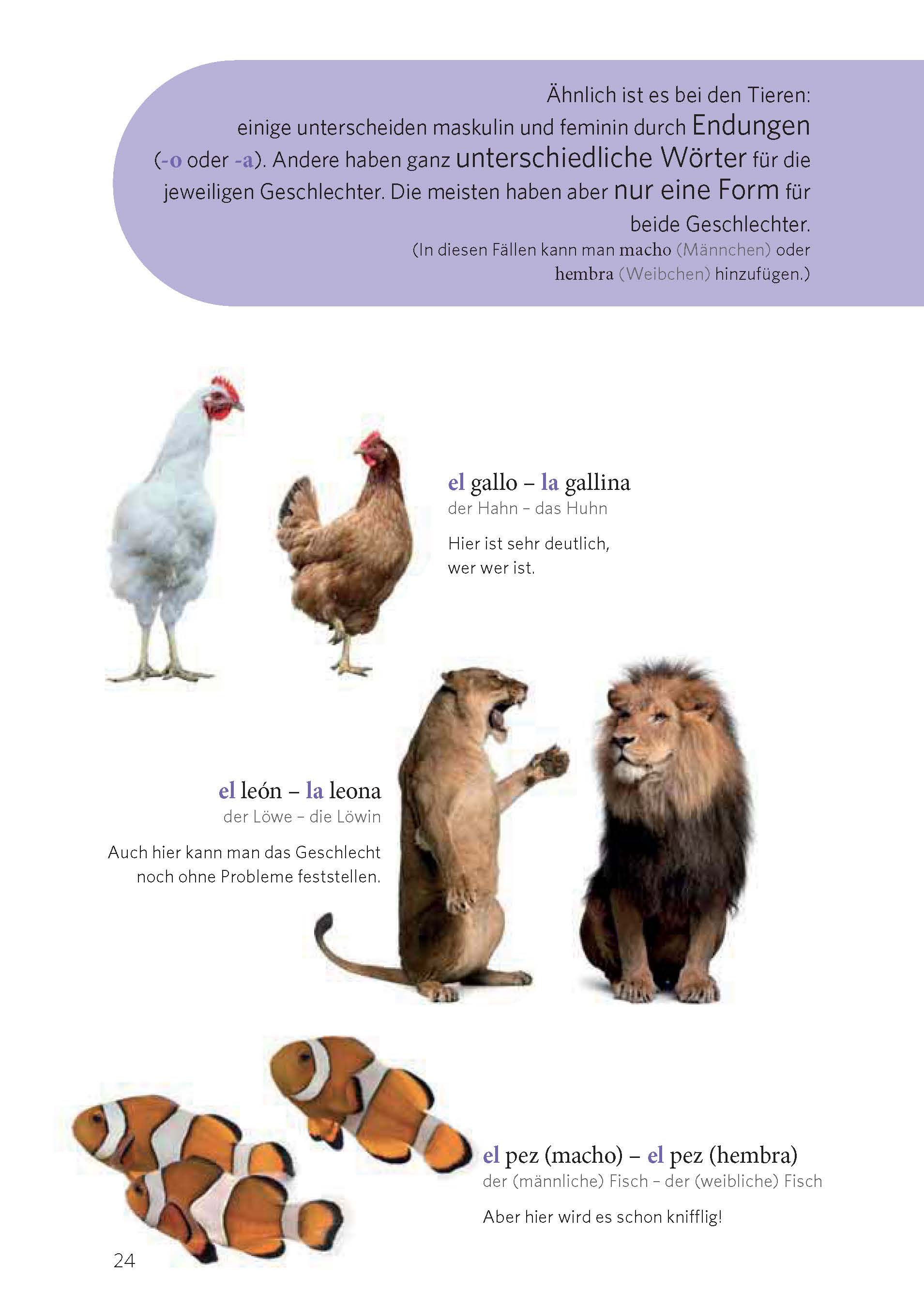 PONS Grammatik in Bildern Spanisch