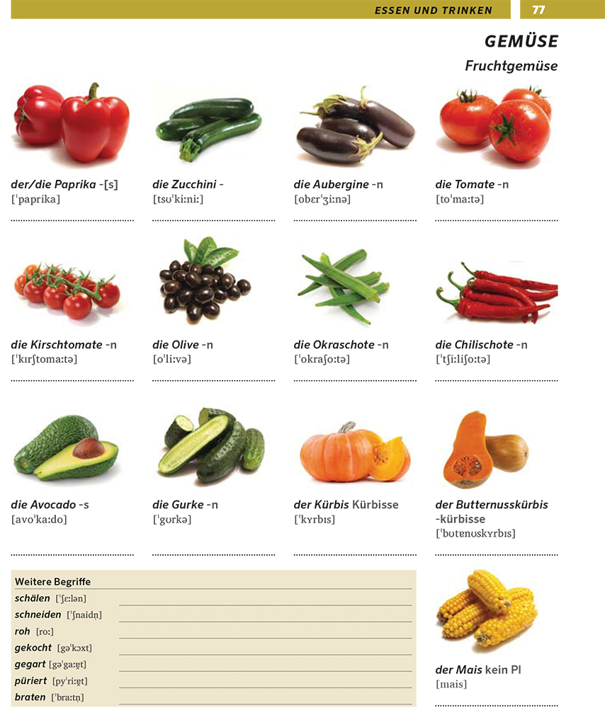 PONS Bildwörterbuch Deutsch als Fremdsprache