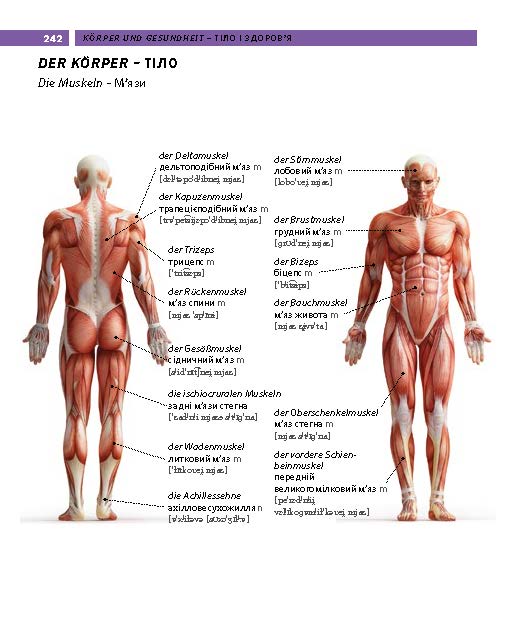 PONS Bildwörterbuch Ukrainisch