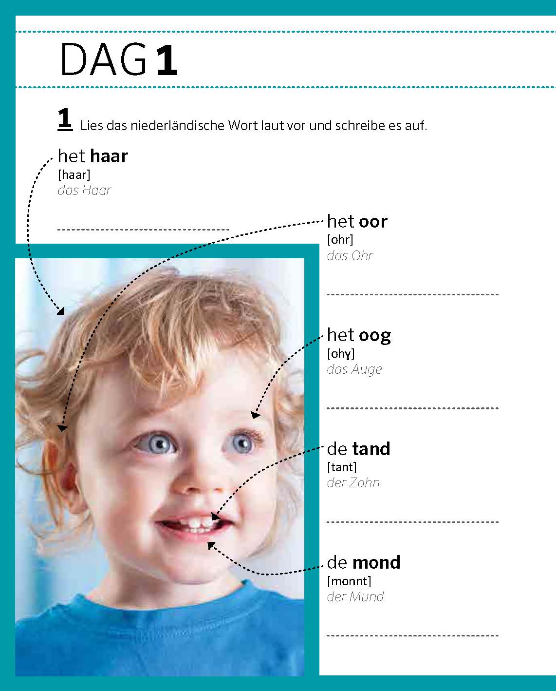 PONS Niederländisch von 0 auf 500