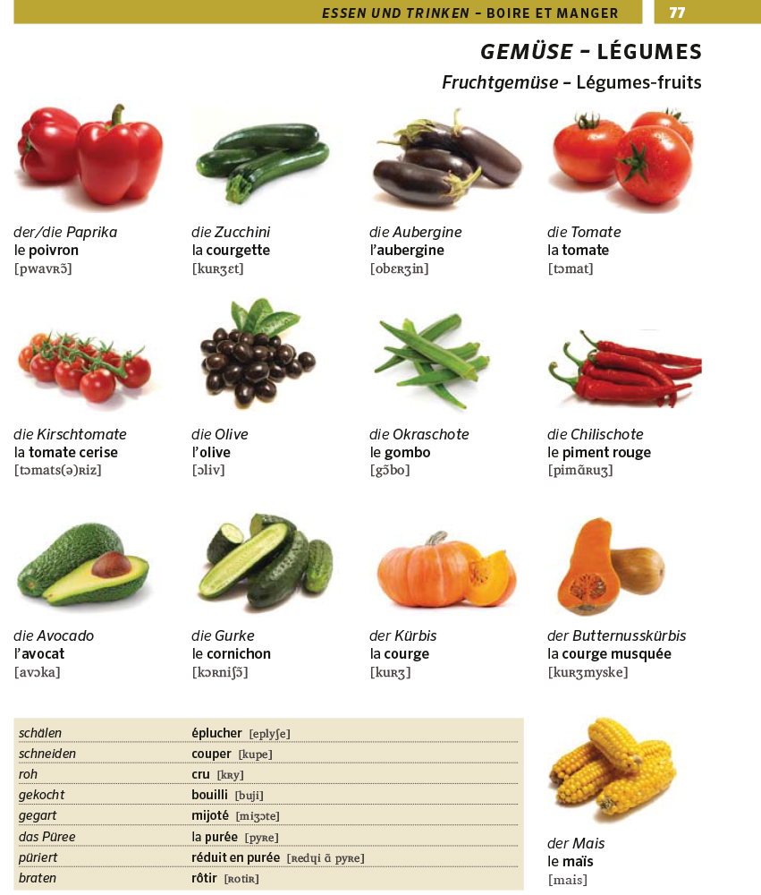 PONS Bildwörterbuch Französisch