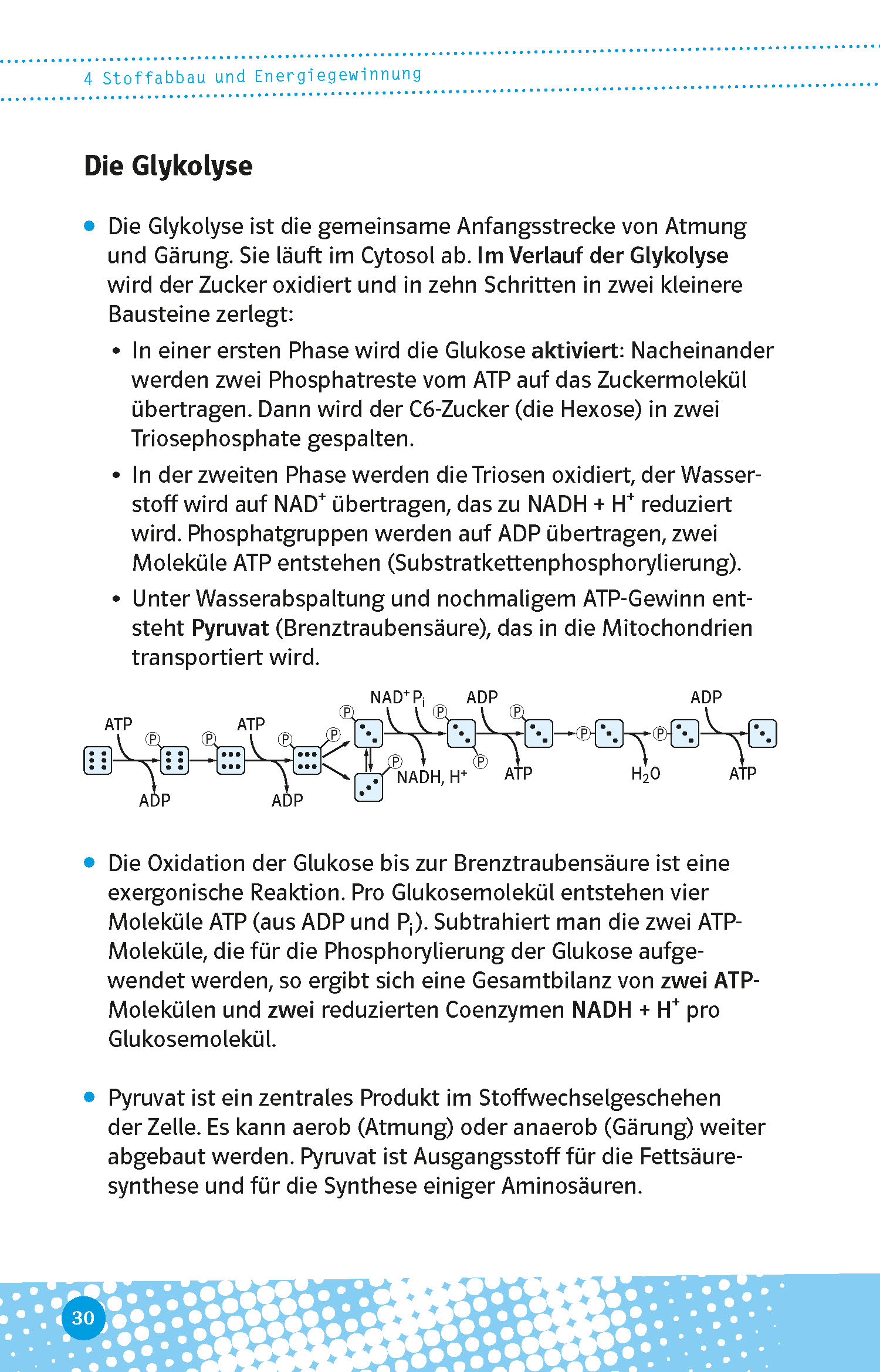 Klett Abi last minute Biologie