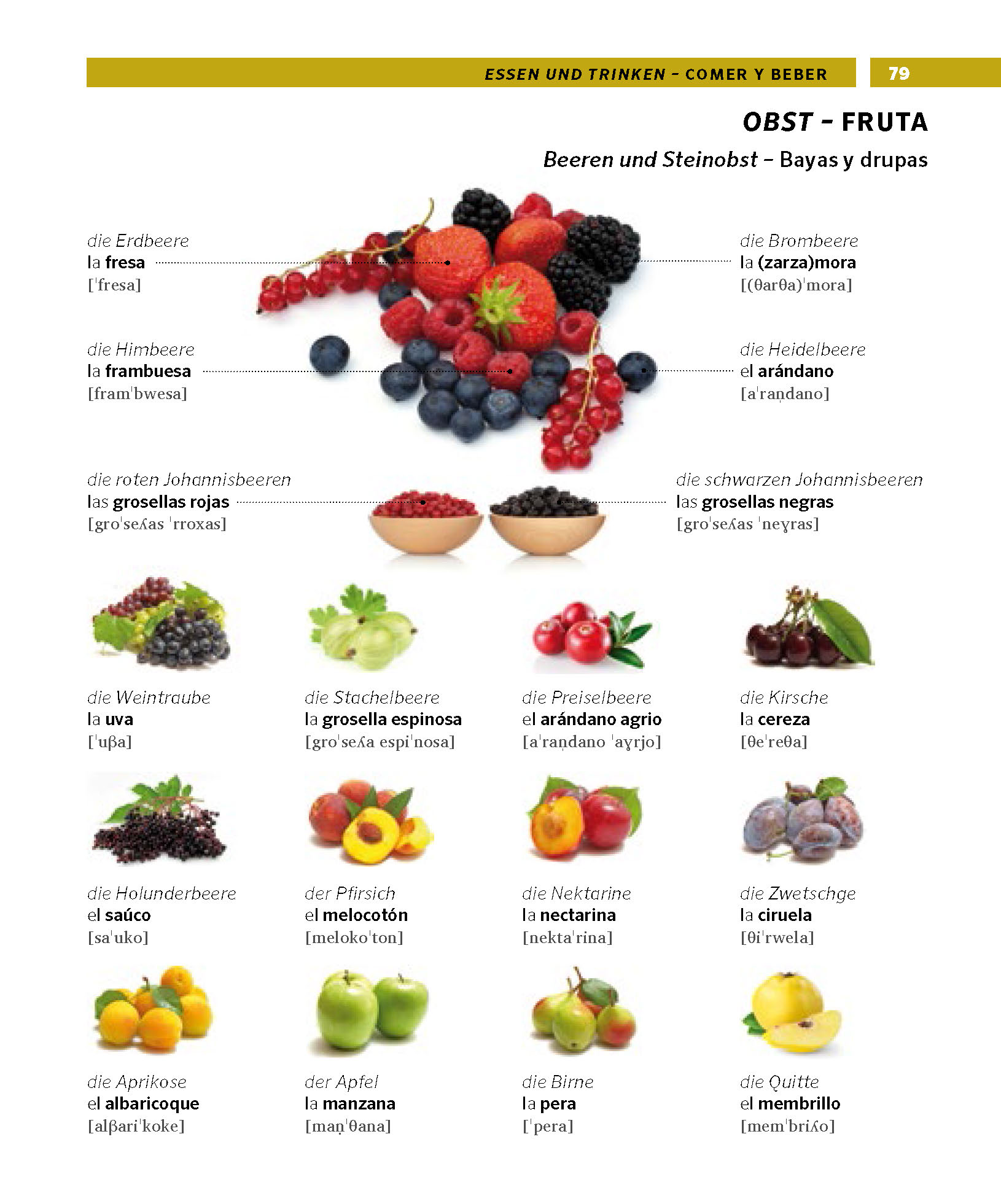 PONS Bildwörterbuch Spanisch