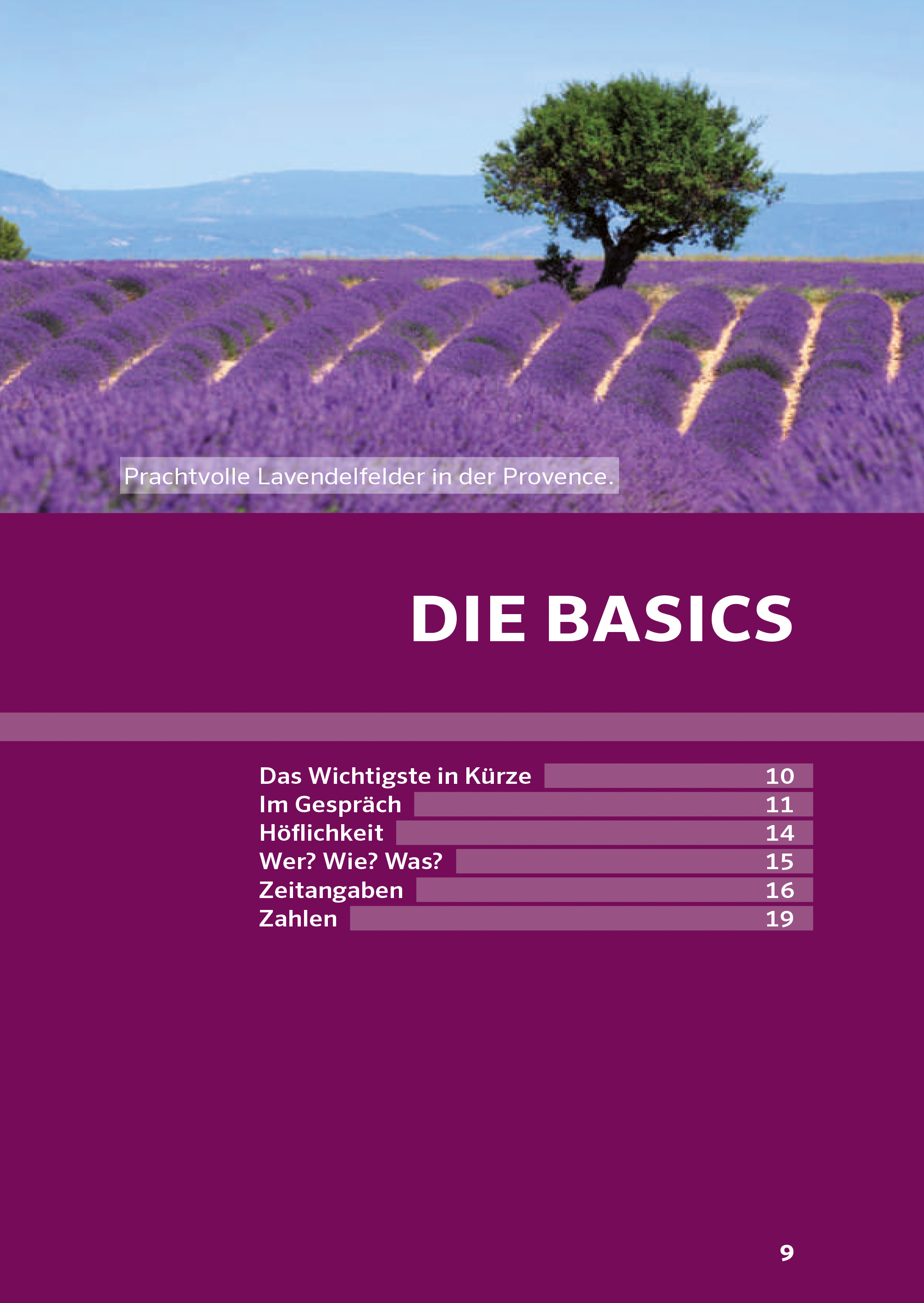 PONS Praxis-Sprachführer Französisch