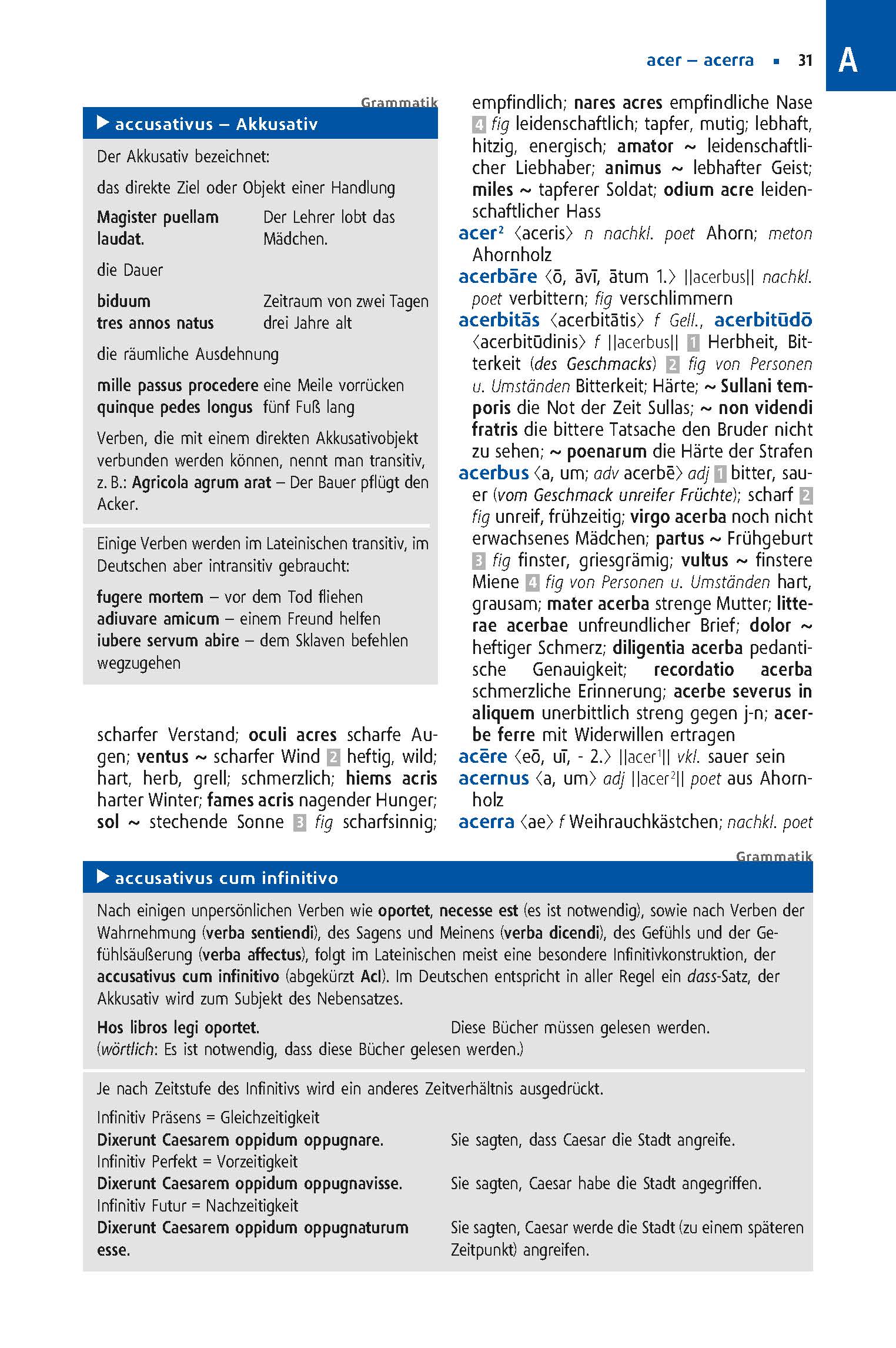 Langenscheidt Großes Schulwörterbuch Plus Latein