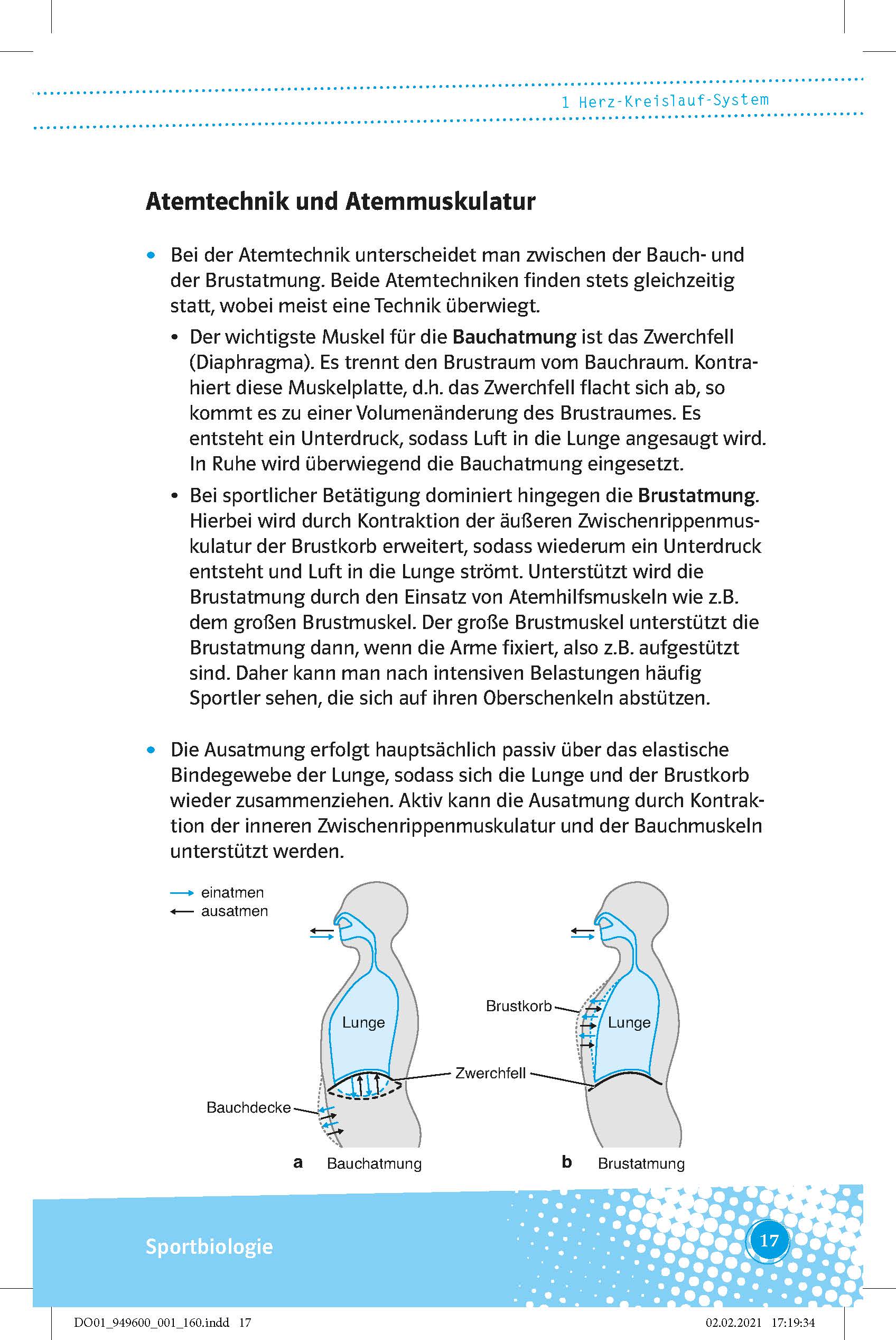 Klett Abi last minute Sport