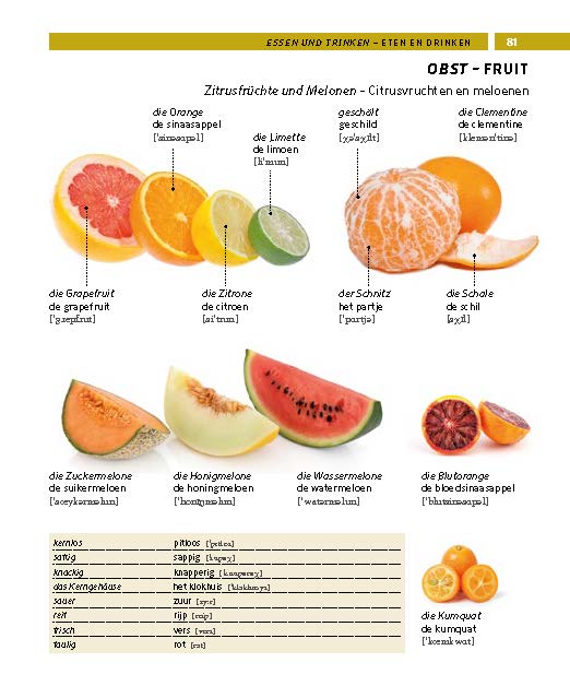 PONS Bildwörterbuch Niederländisch