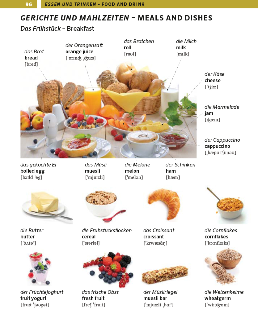 PONS Bildwörterbuch Englisch