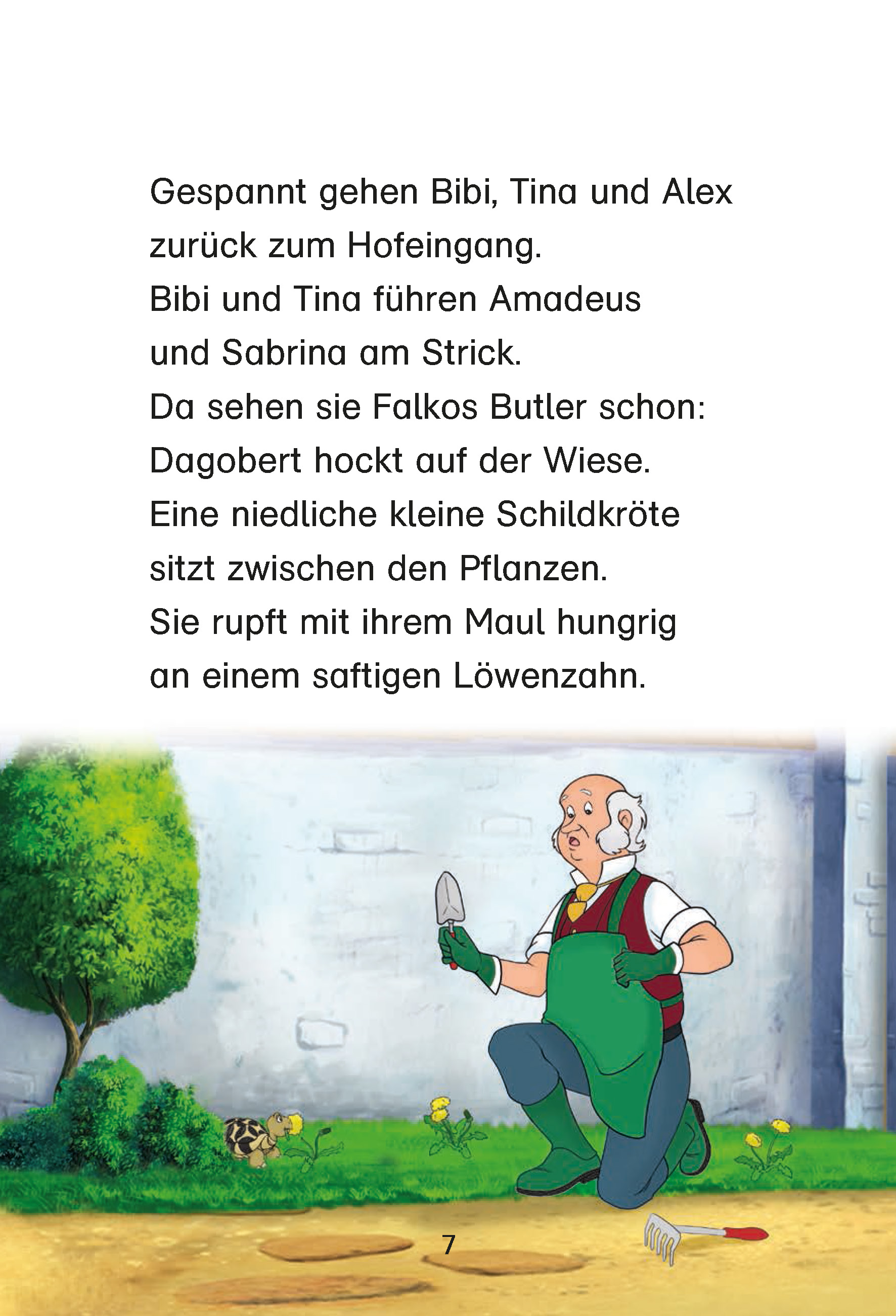 Bibi & Tina: Eine Schildkröte kommt selten allein