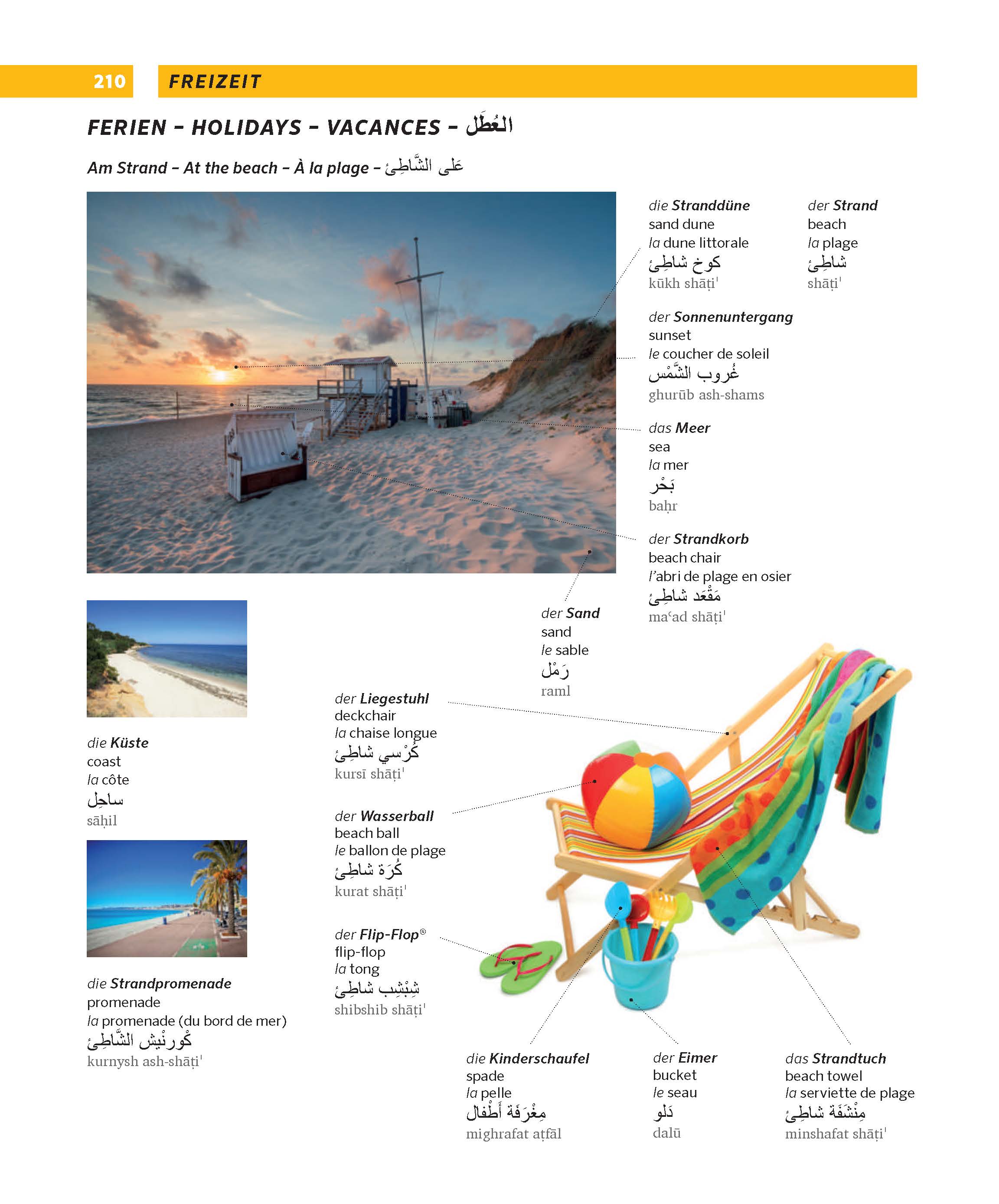 PONS Großes Bildwörterbuch Arabisch - Deutsch + Englisch und Französisch