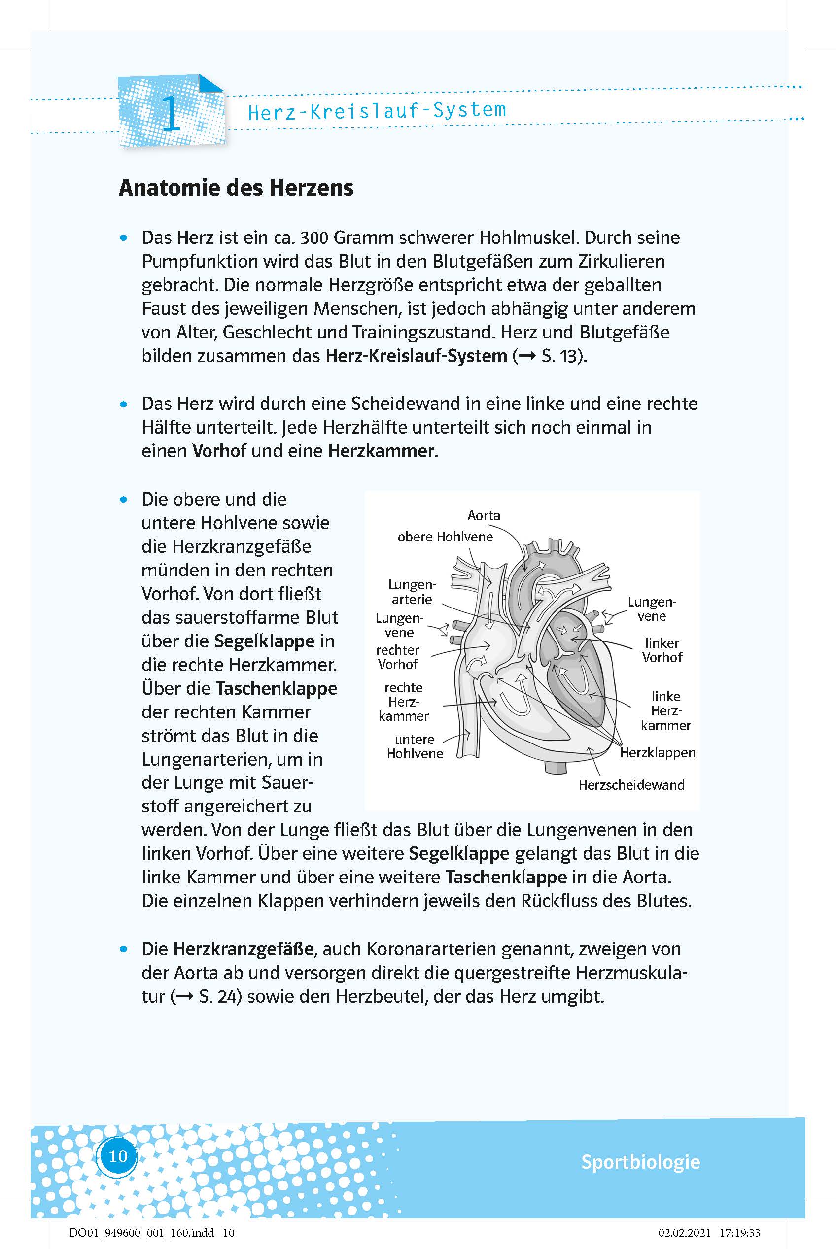 Klett Abi last minute Sport