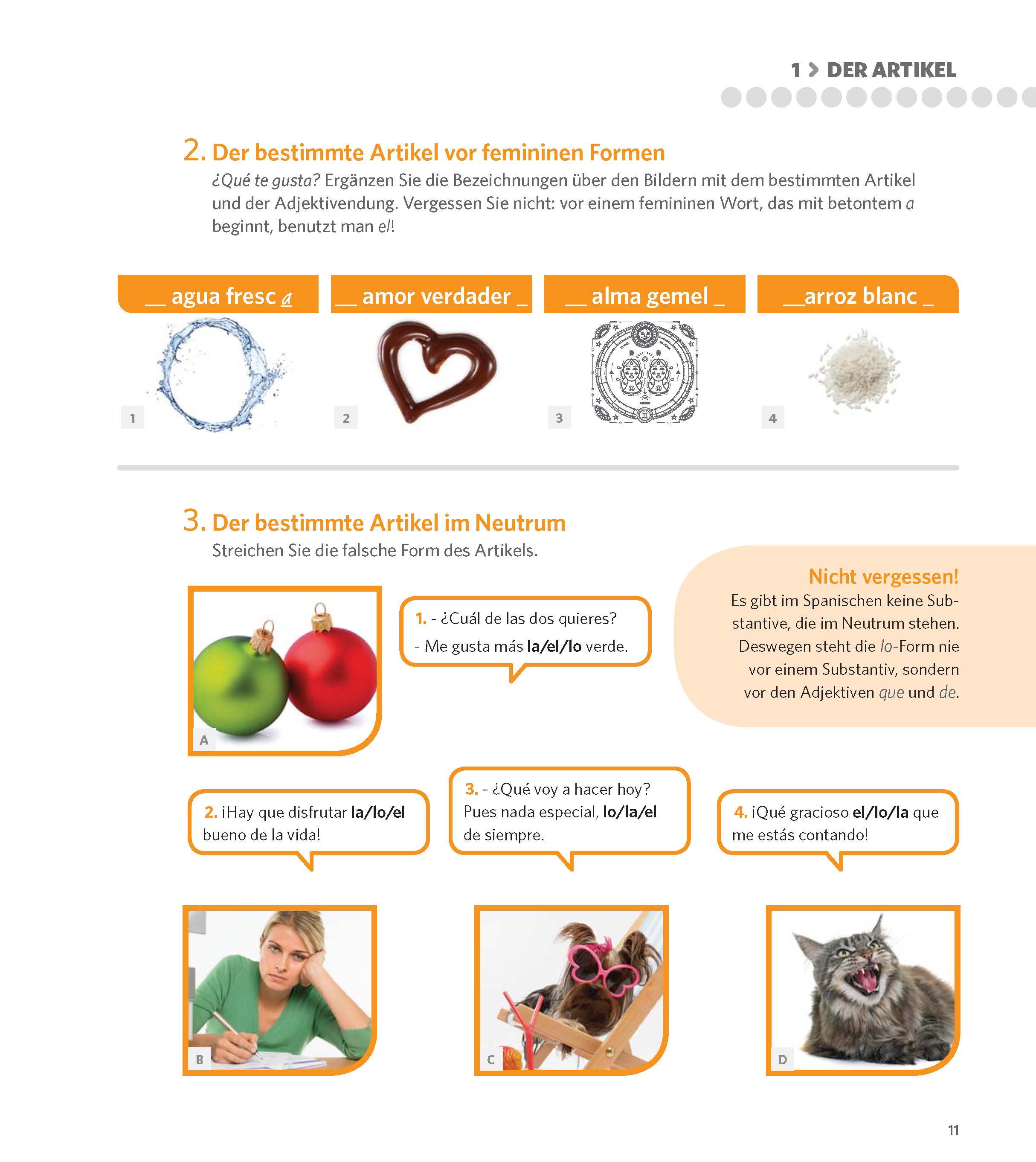 PONS Grammatik üben in Bildern Spanisch