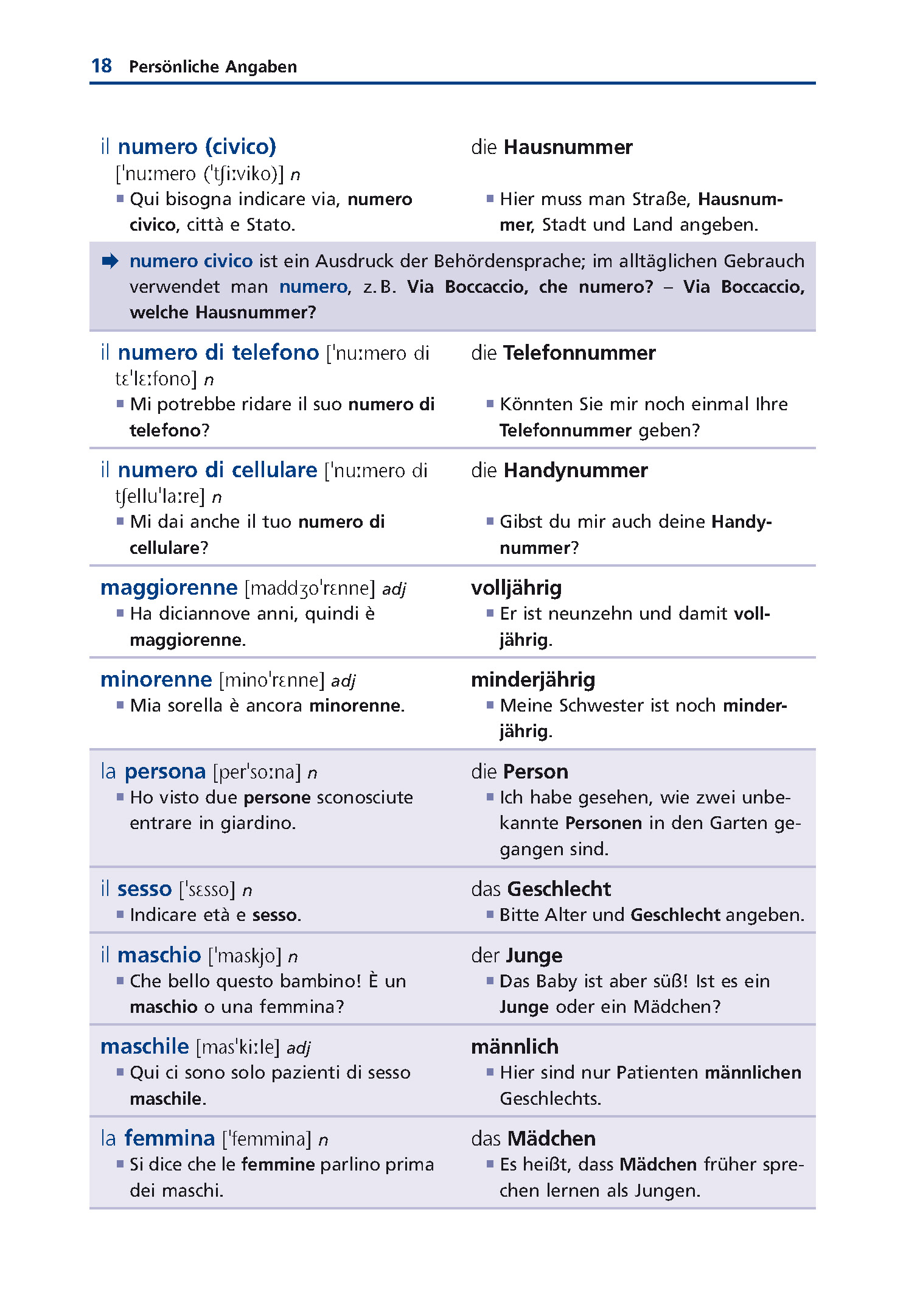 Langenscheidt Grund- und Aufbauwortschatz Italienisch