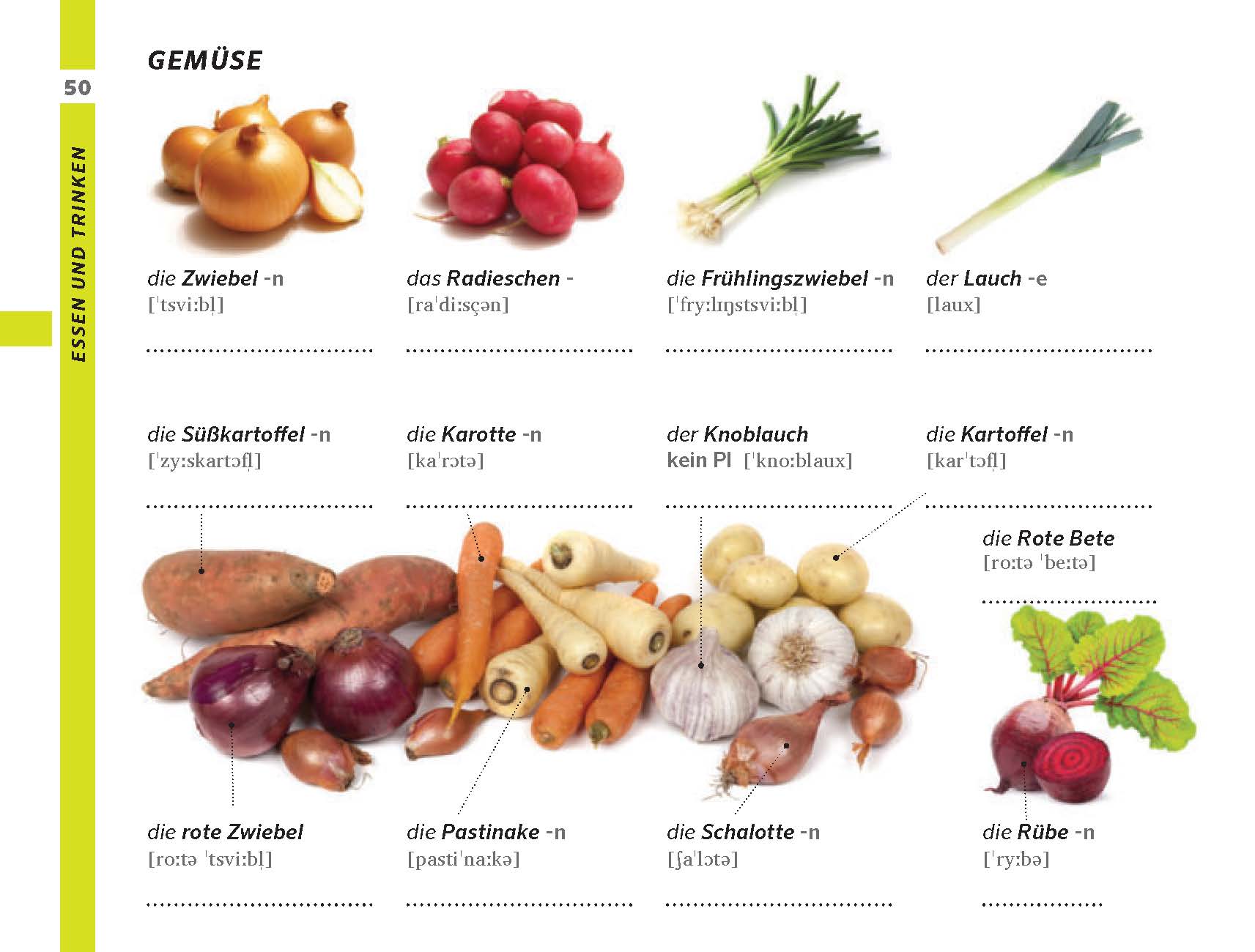 Eine Auswahl an Gemüse, darunter Zwiebeln, Radieschen, Frühlingszwiebeln, Lauch, Kartoffeln, Karotten, Knoblauch, Rote Bete, Süßkartoffeln, Pastinaken, Schalotten und Rüben, in deutscher Sprache beschriftet.