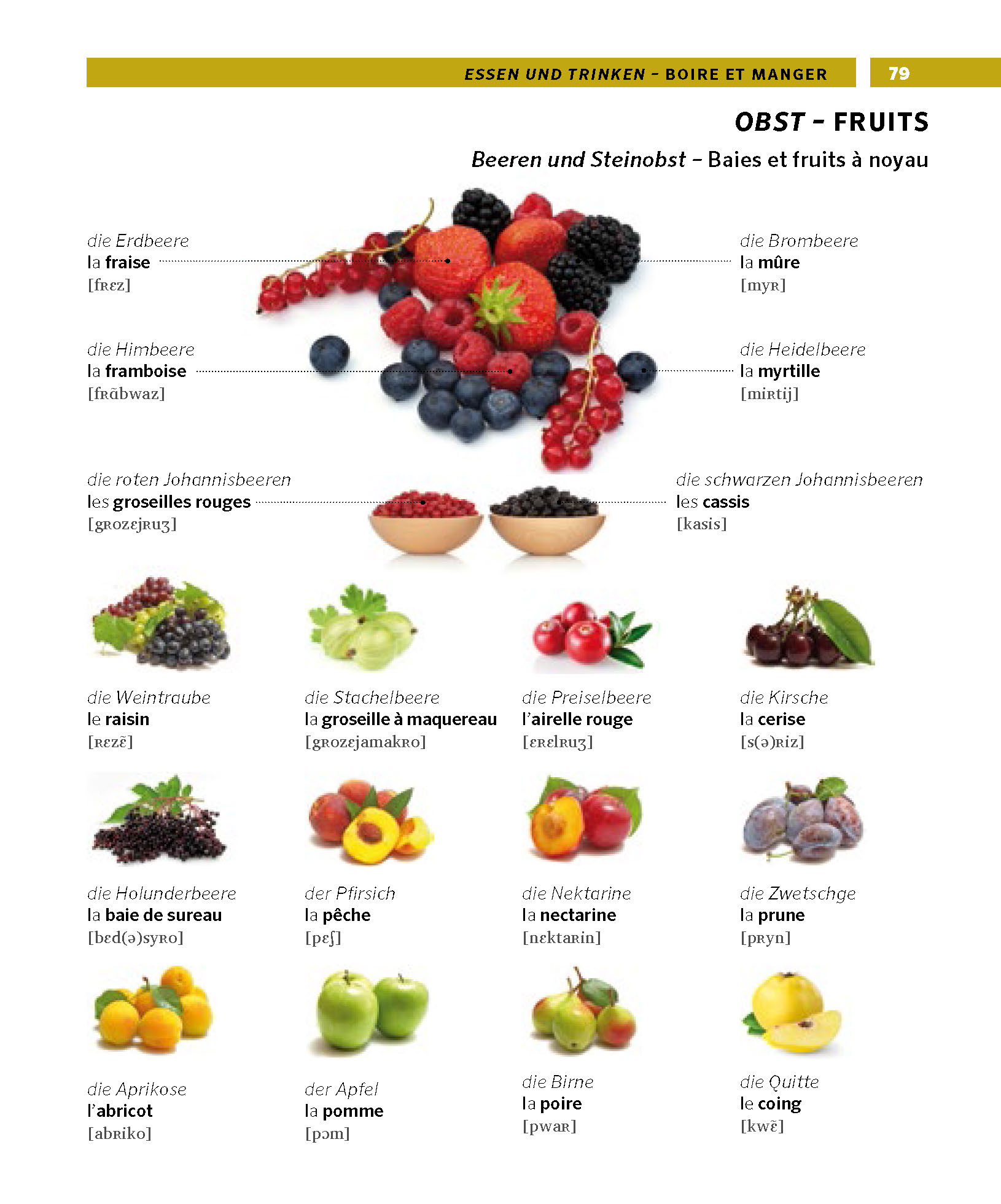 PONS Bildwörterbuch Französisch