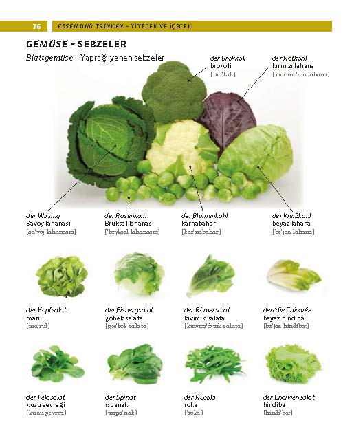 PONS Bildwörterbuch Türkisch