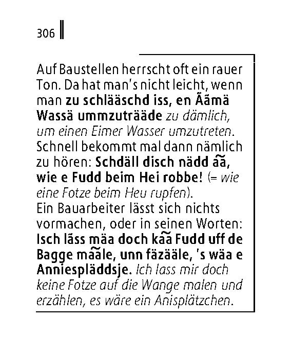 Langenscheidt Lilliput Hessisch