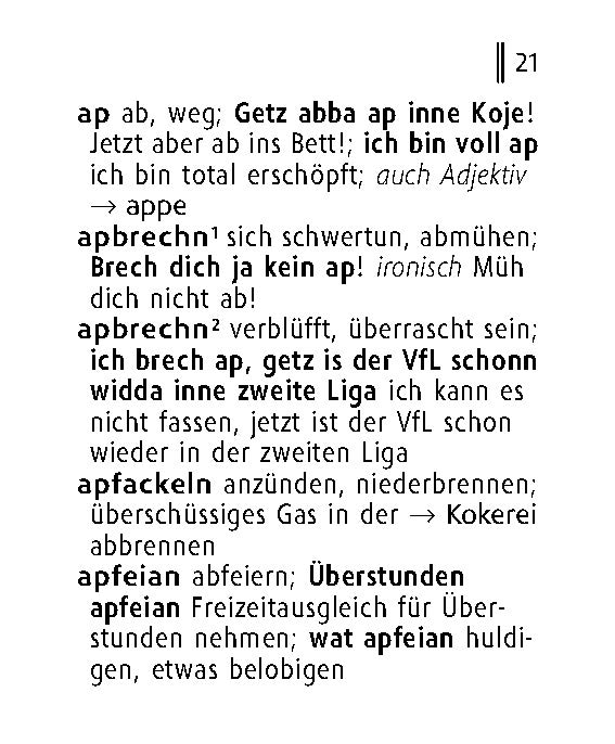 Langenscheidt Lilliput Ruhrpott