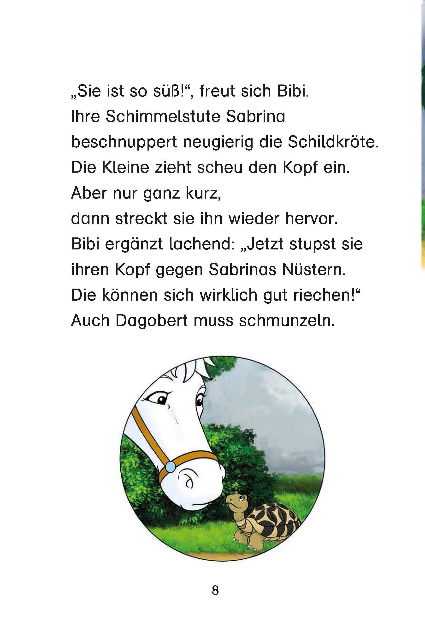Bibi & Tina: Eine Schildkröte kommt selten allein