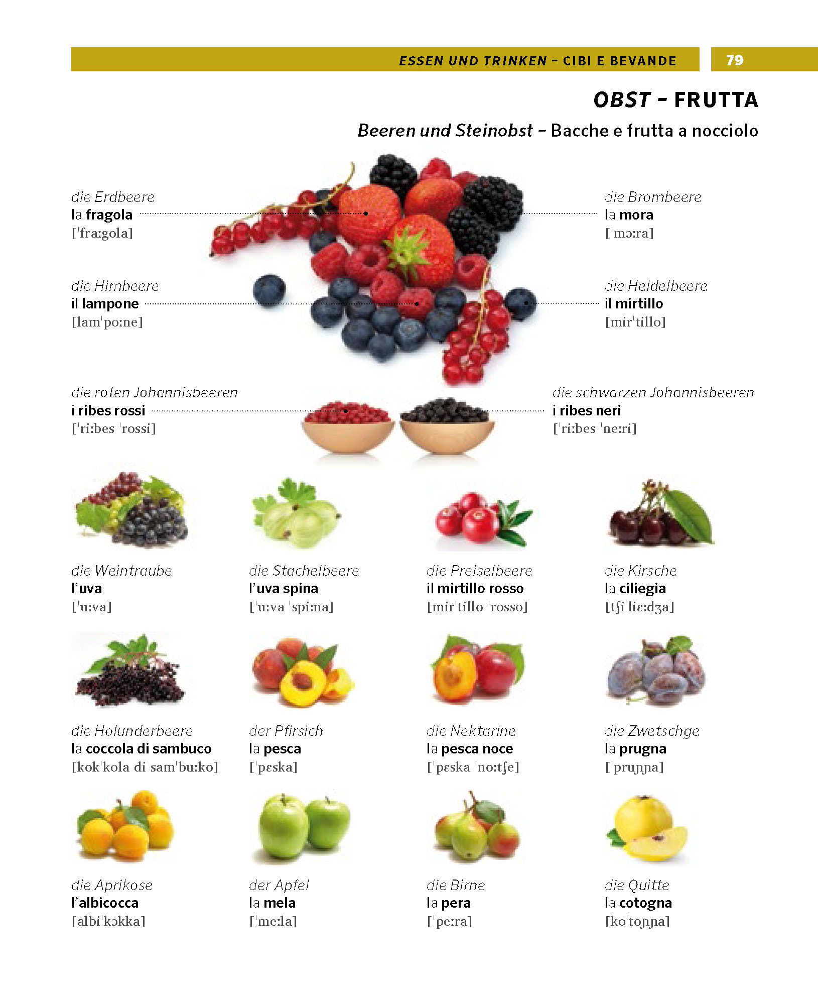 PONS Bildwörterbuch Italienisch