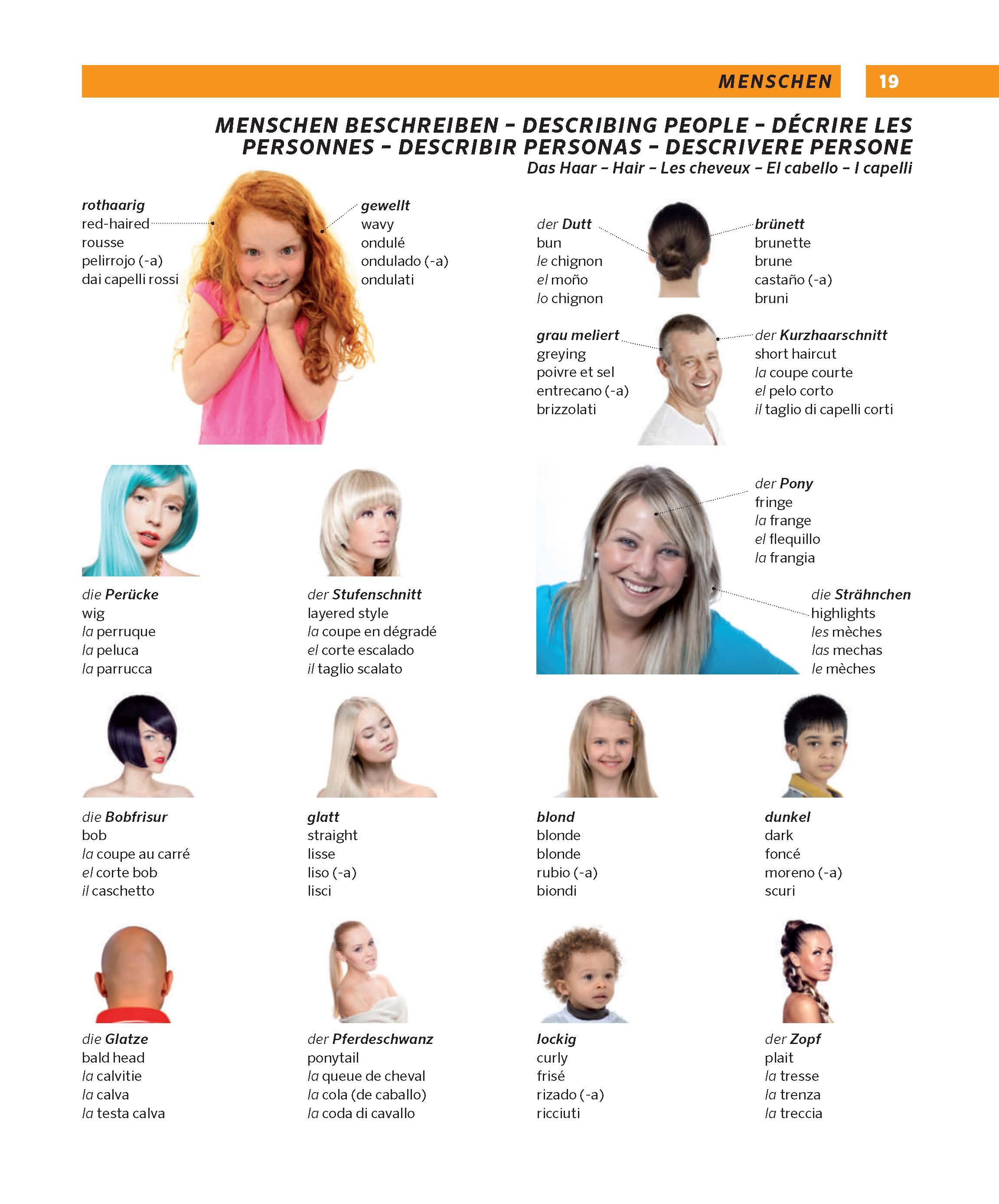 PONS Großes Bildwörterbuch Deutsch, Englisch, Französisch, Spanisch, Italienisch