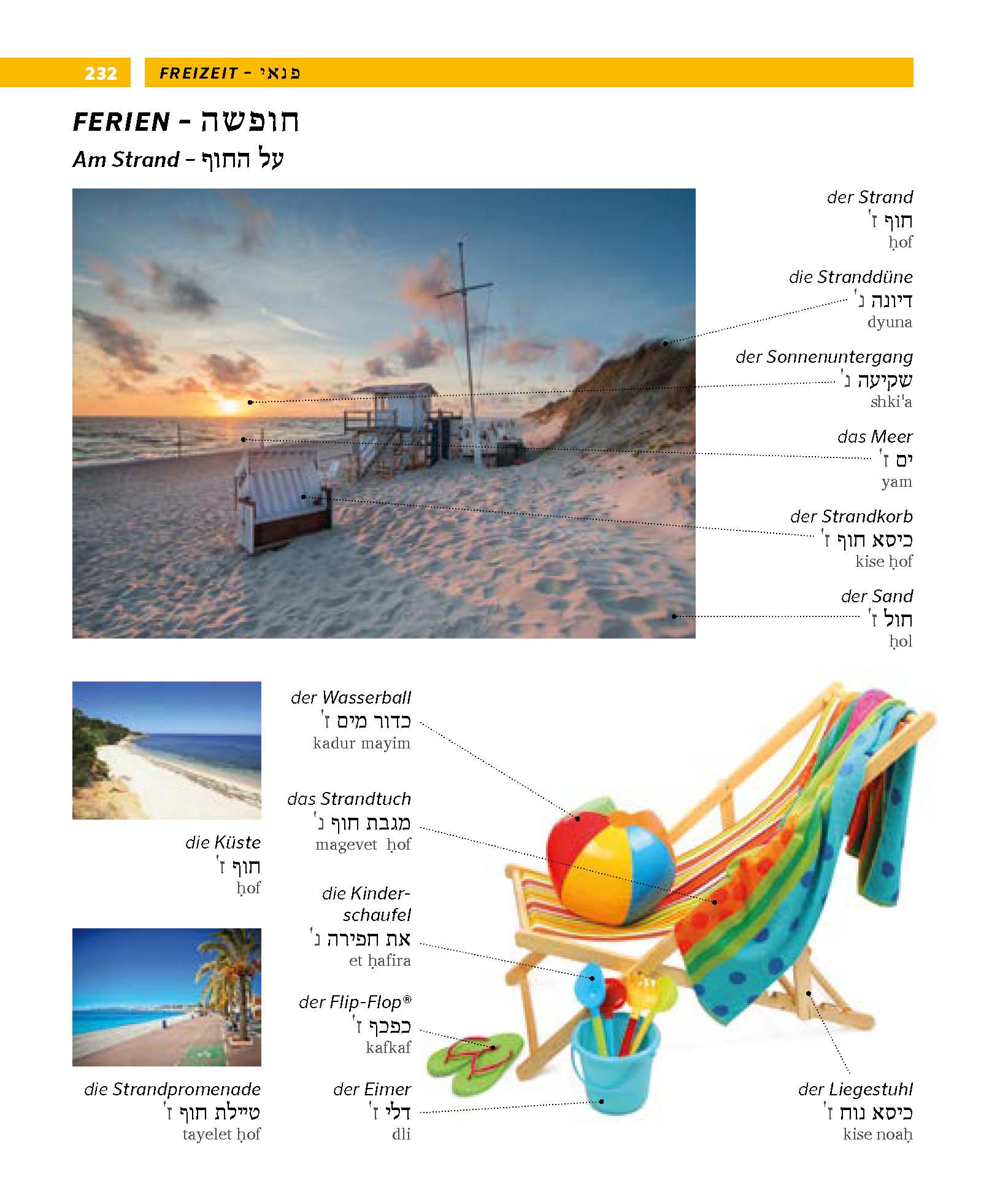 PONS Bildwörterbuch Hebräisch