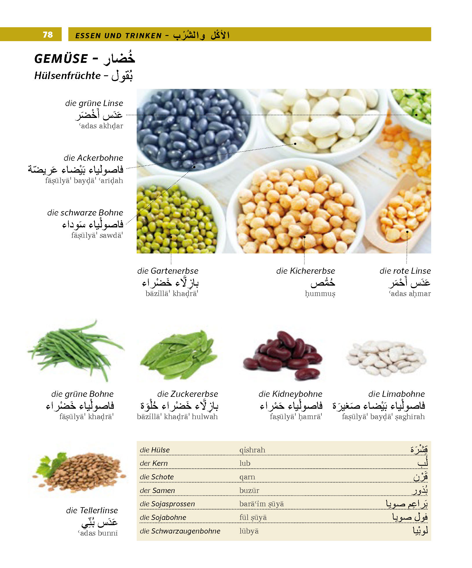 PONS Bildwörterbuch Arabisch