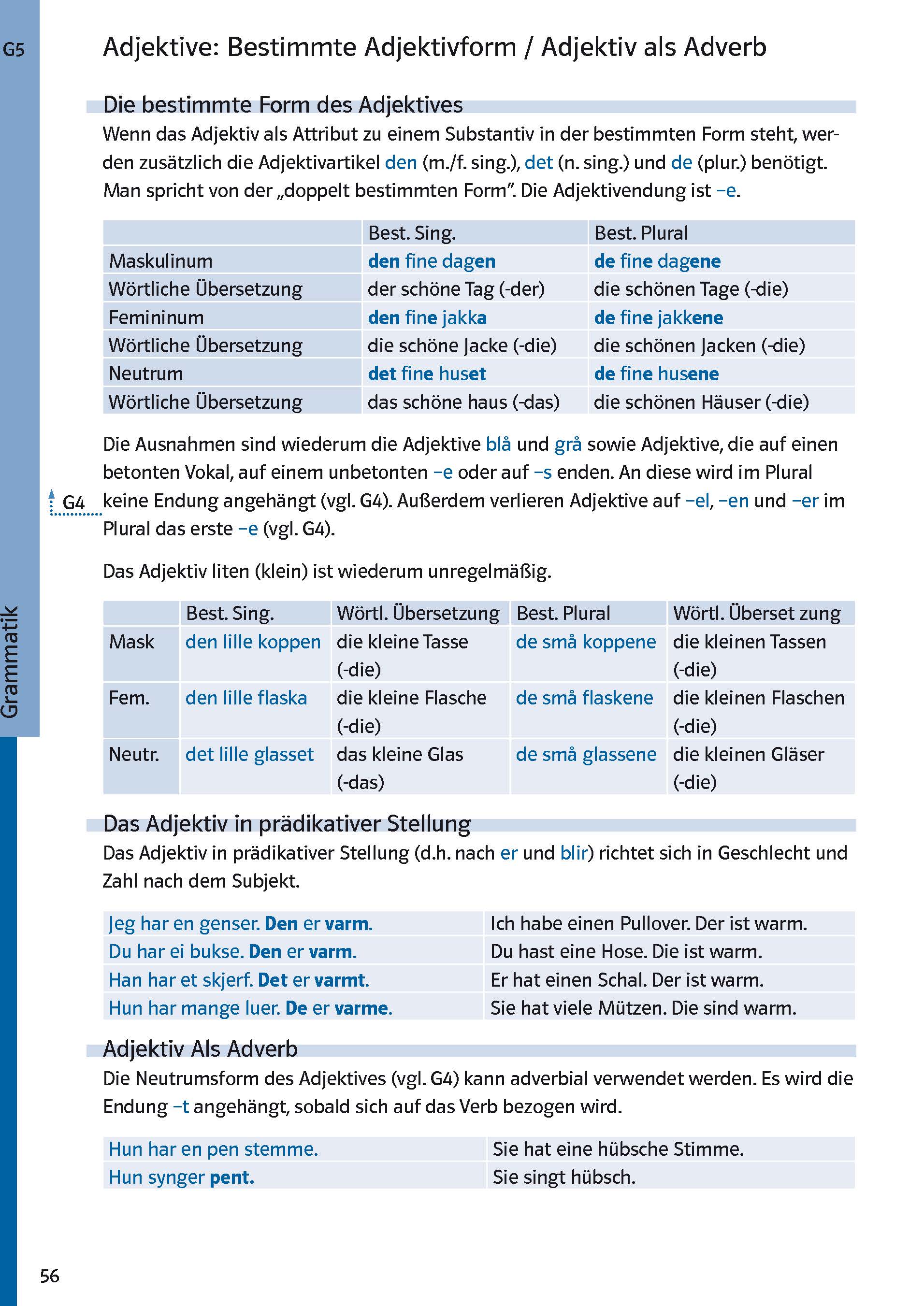 Eine deutsche Grammatiktabelle, die Adjektivendungen für bestimmte Artikel erklärt, mit Tabellen, die männliche, weibliche, sächliche und plurale Formen im Singular und Plural zeigen.