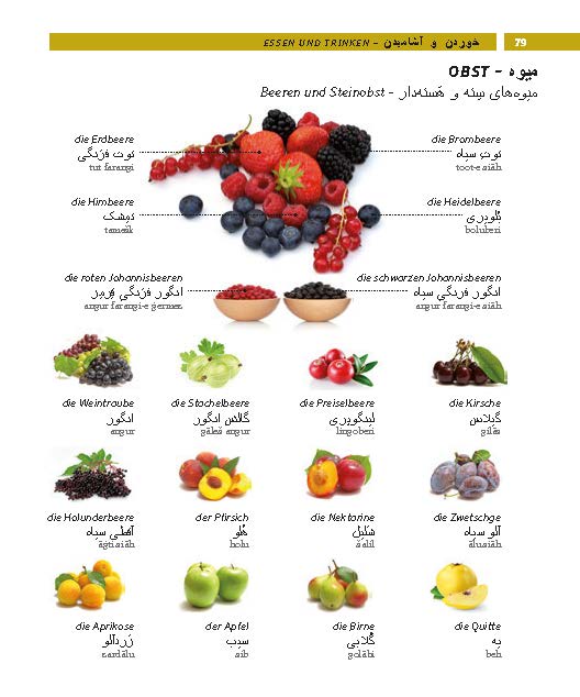 PONS Bildwörterbuch Persisch