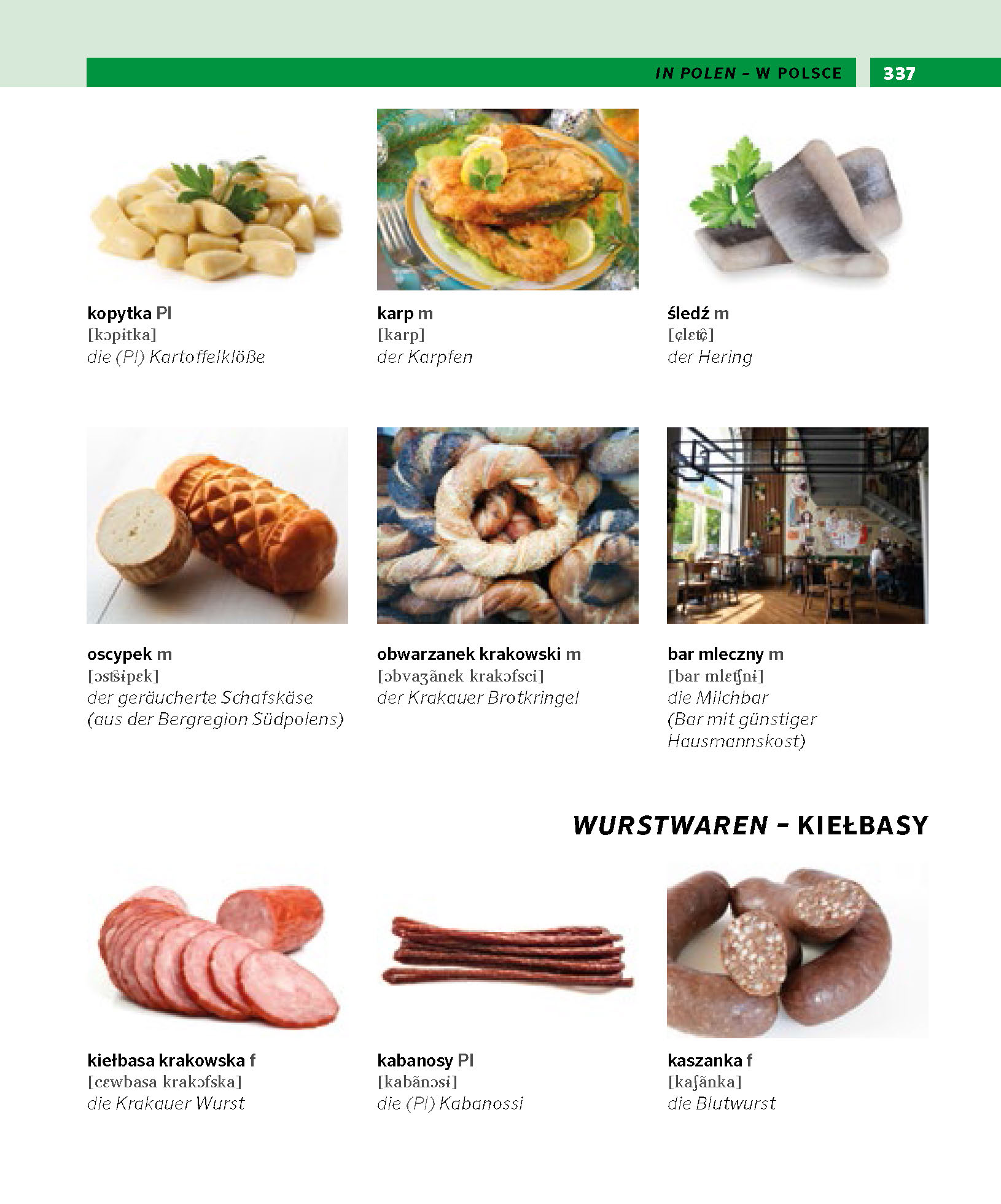 PONS Bildwörterbuch Polnisch